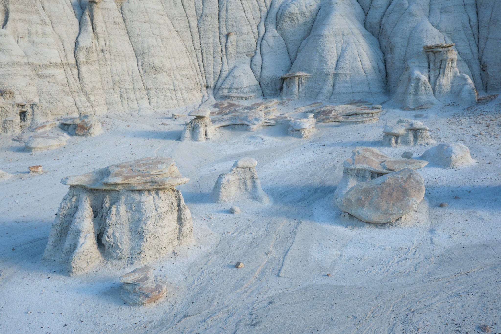 Bisti Badlands New Mexico