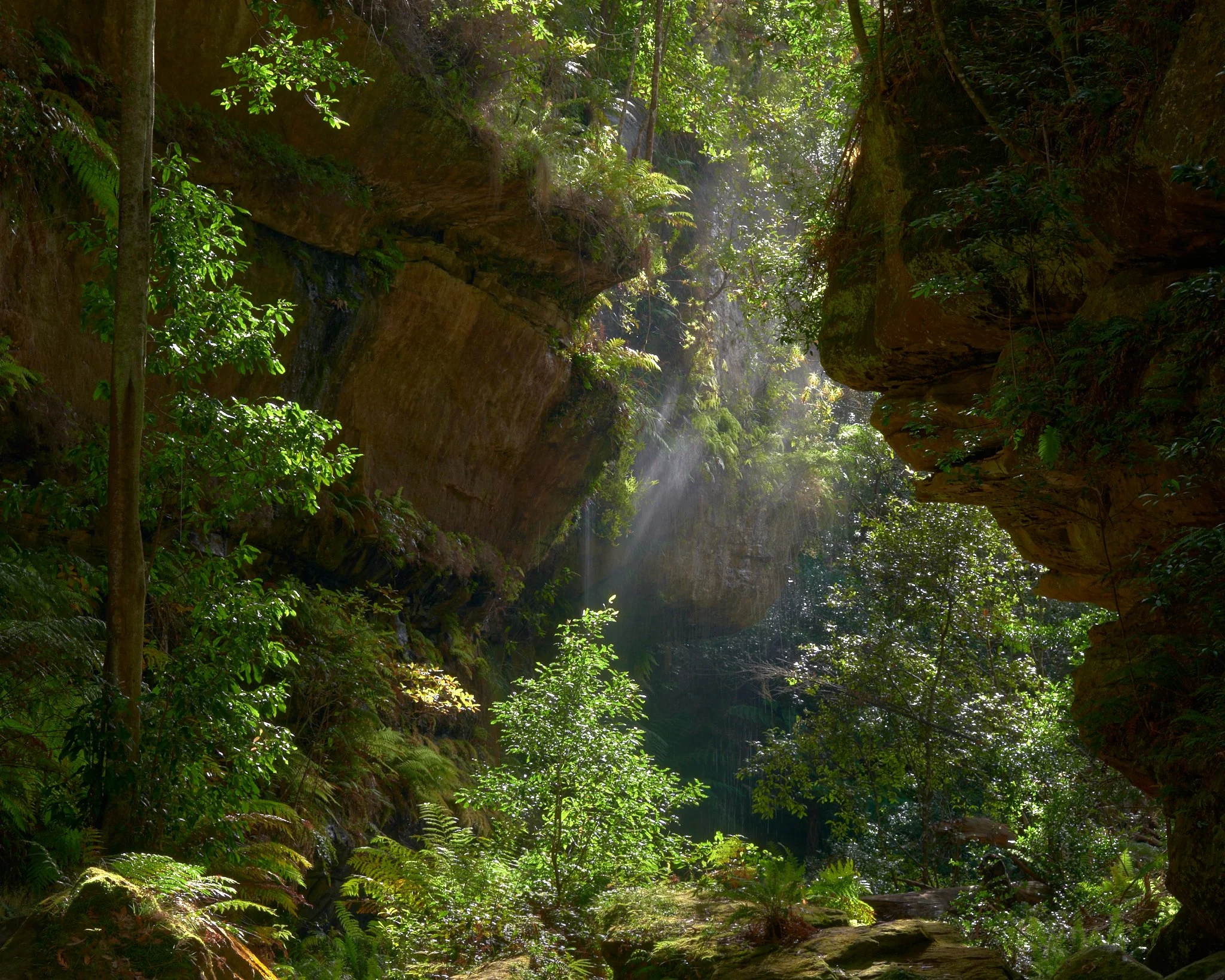 Grand Passage
Blue Mountains National Park, NSW (2025)