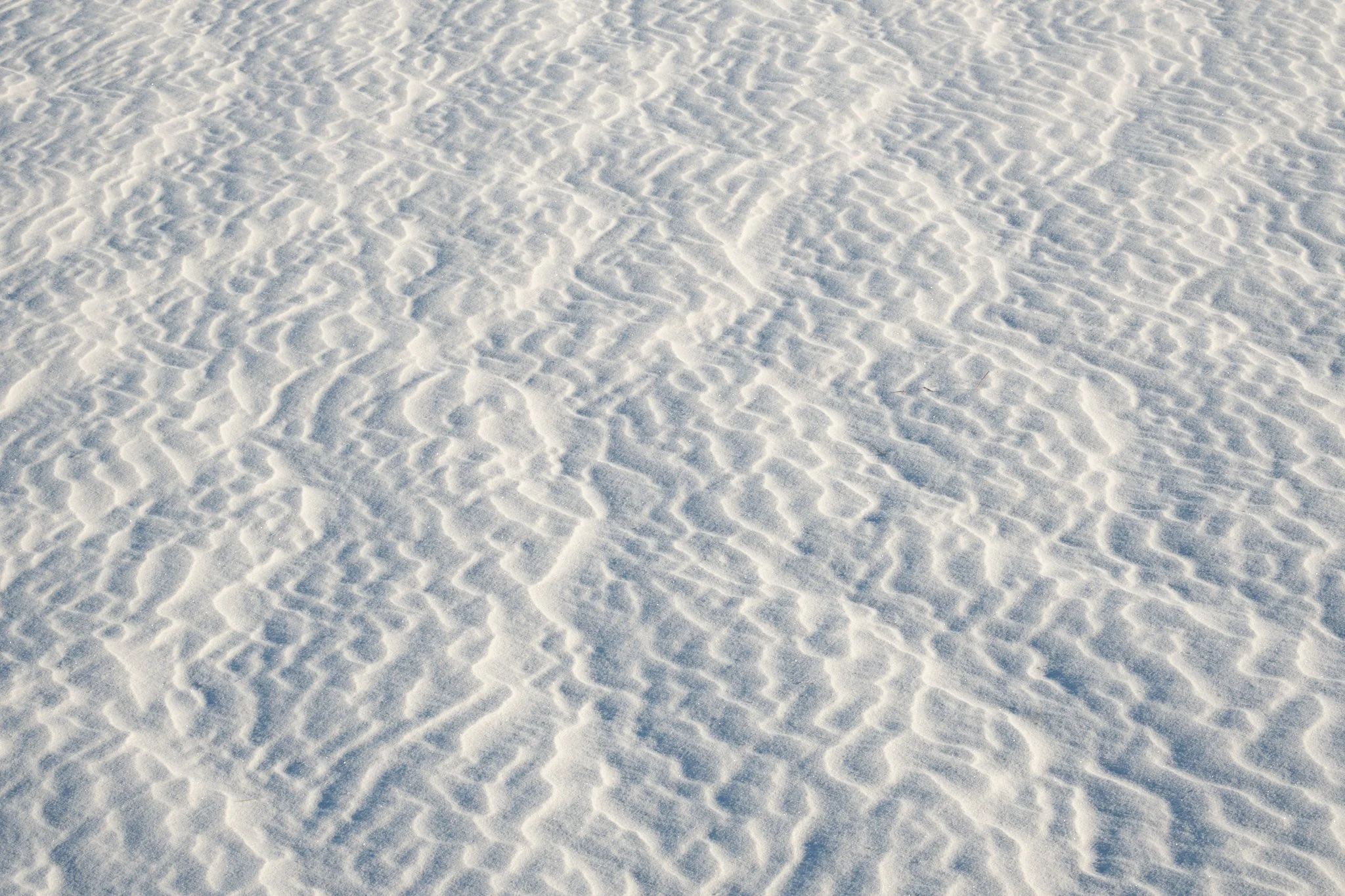 White Sands National Park, NM, USA (2025)