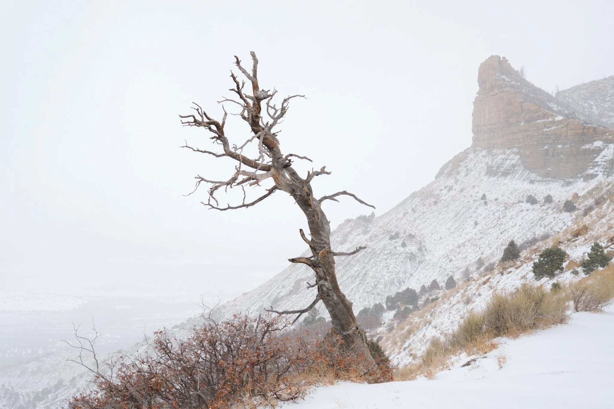 Mesa Verde National Park, CO, USA (2025)
