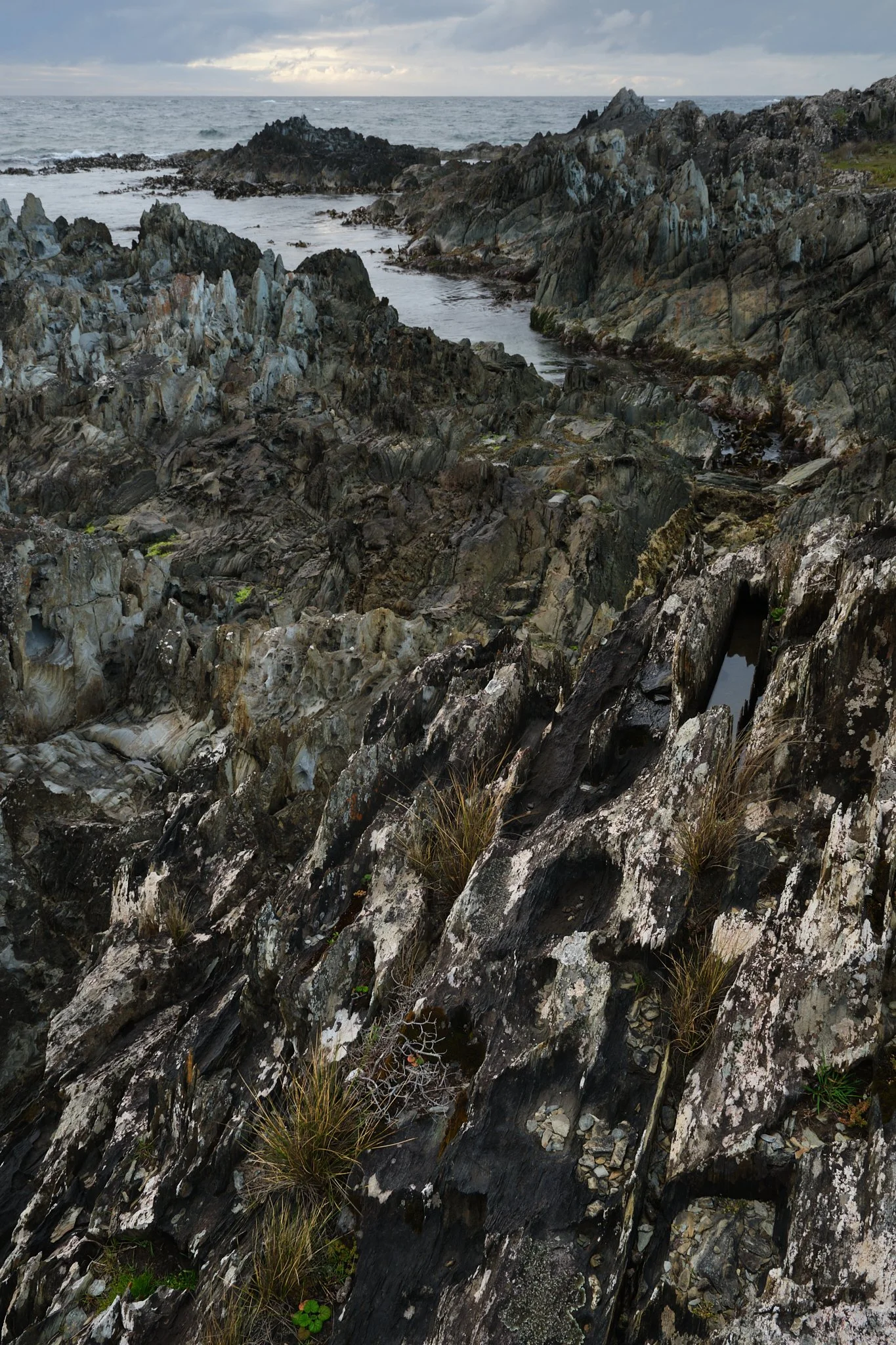 Hard Coast
Tarkine, Tasmania (2025)