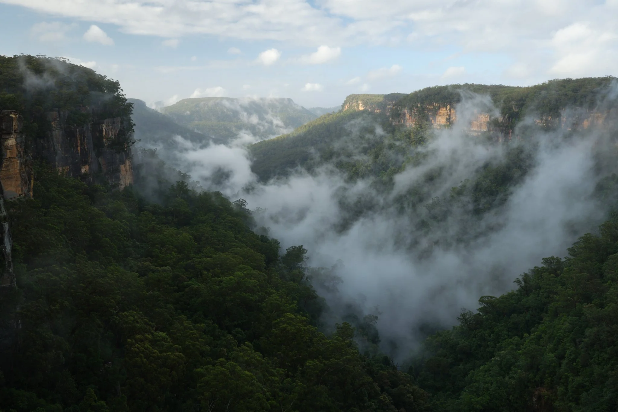 Yarrunga Silence
Morton National Park, NSW (2025)