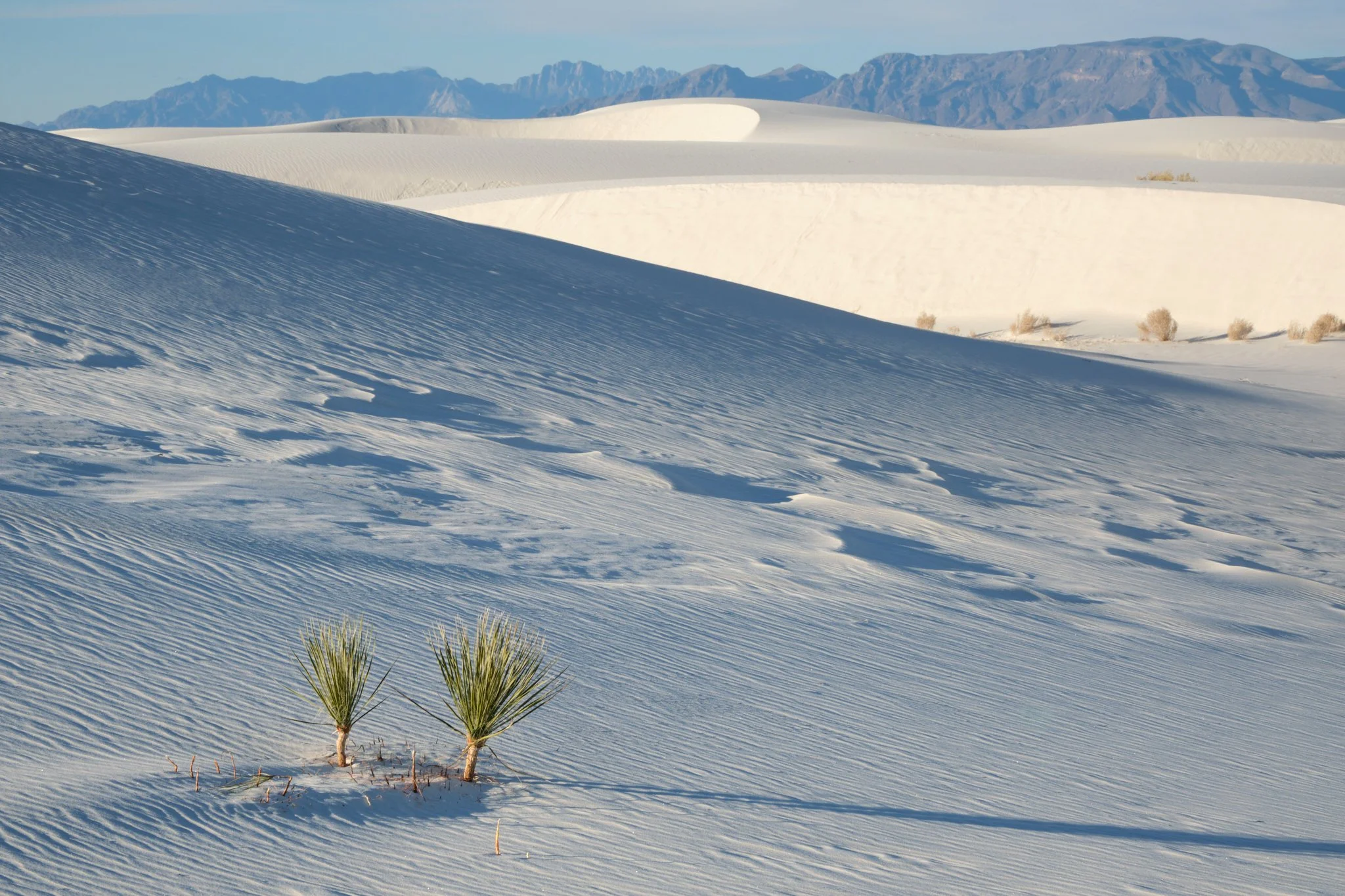 White Sands National Park, NM, USA (2025)