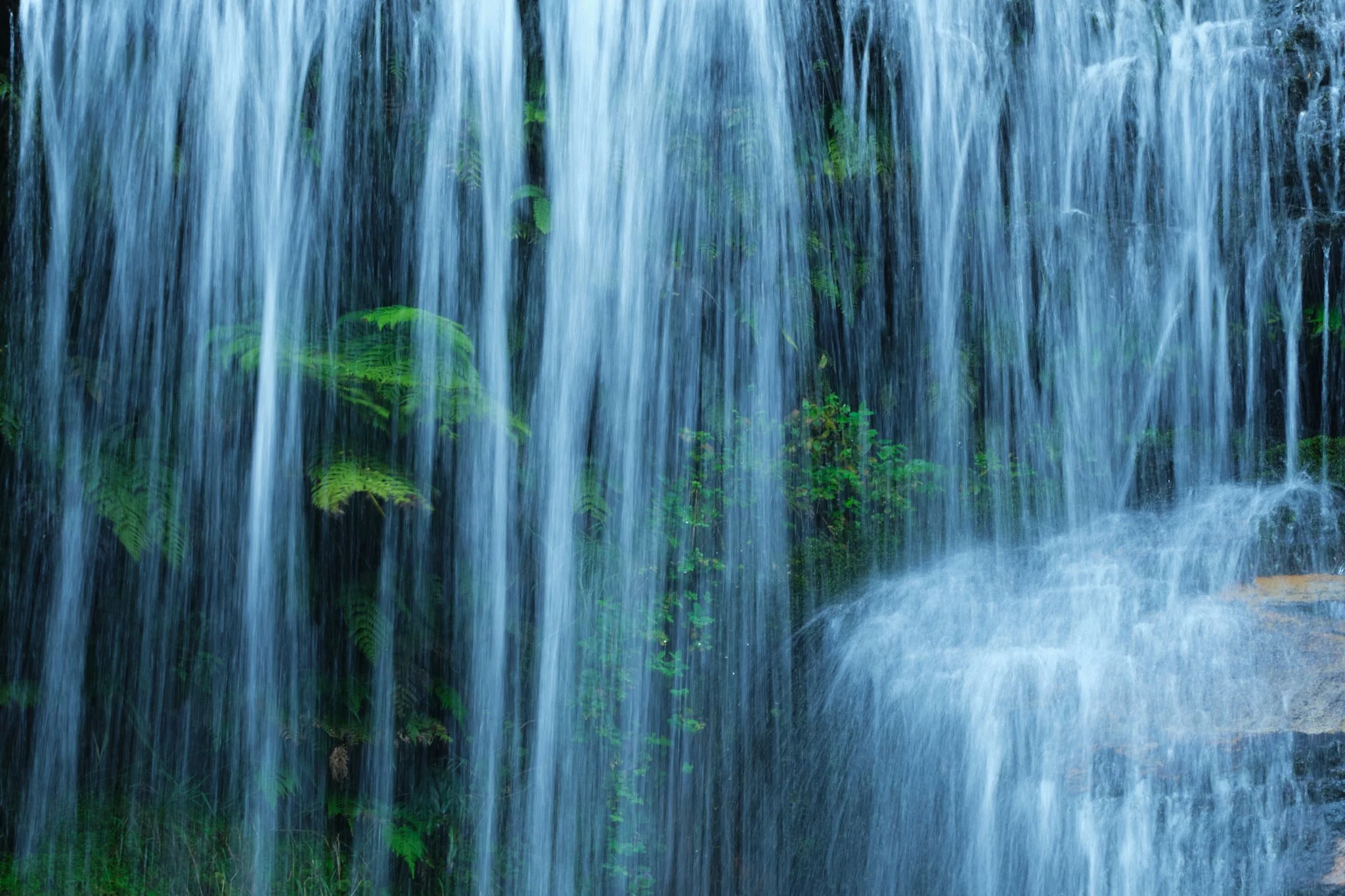 Blue Mountains National Park, NSW (2025)