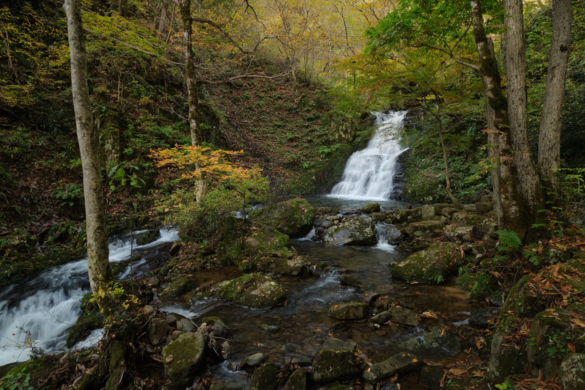 Endless Journey
Gifu, Japan (2024)