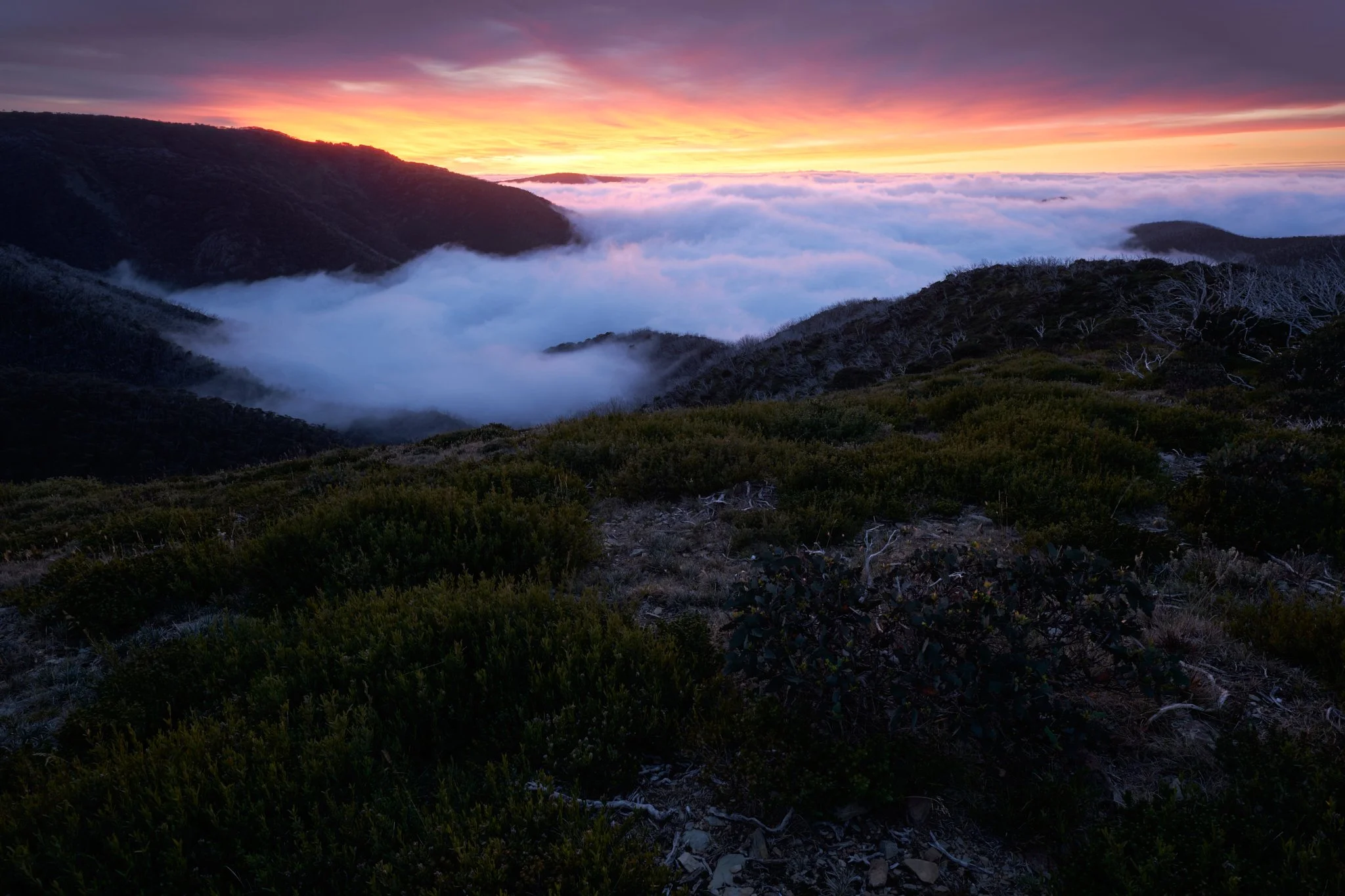 The Peace Between
Alpine National Park, VIC (2024)