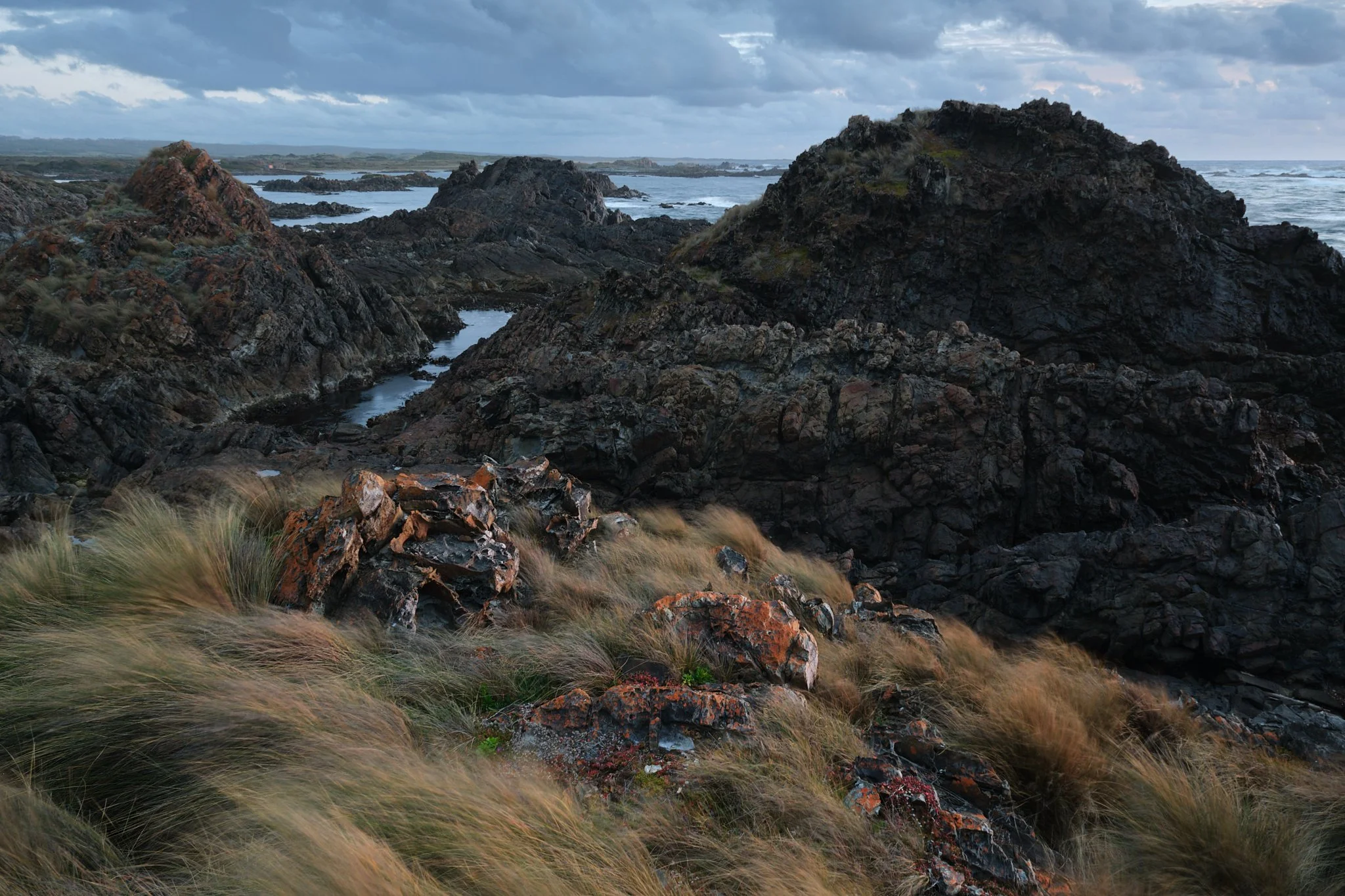 Between a Rock and a Sharp Place
Tarkine, Tasmania (2025)