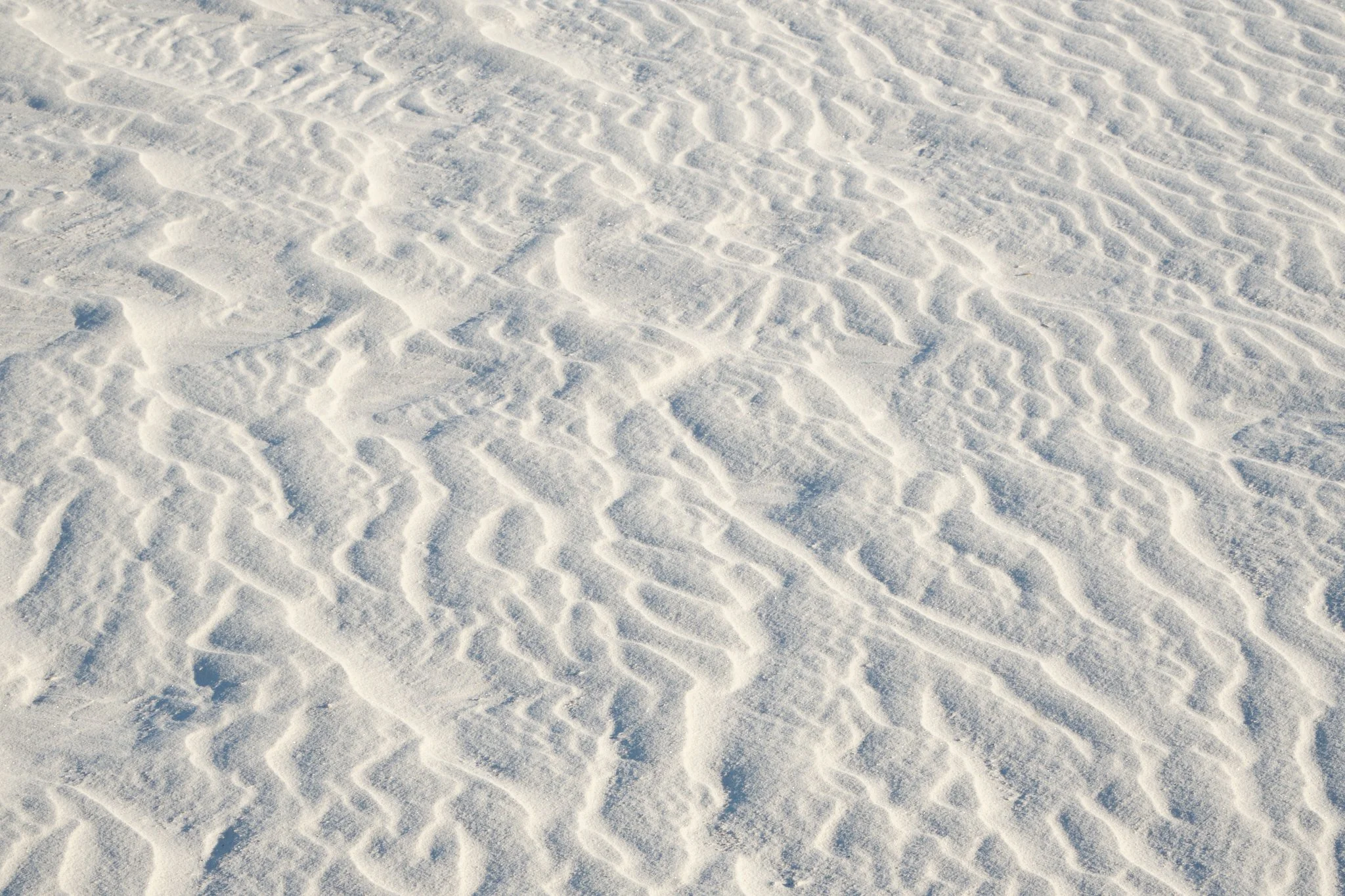 Shifting Forms
White Sands National Park, NM, USA (2025)