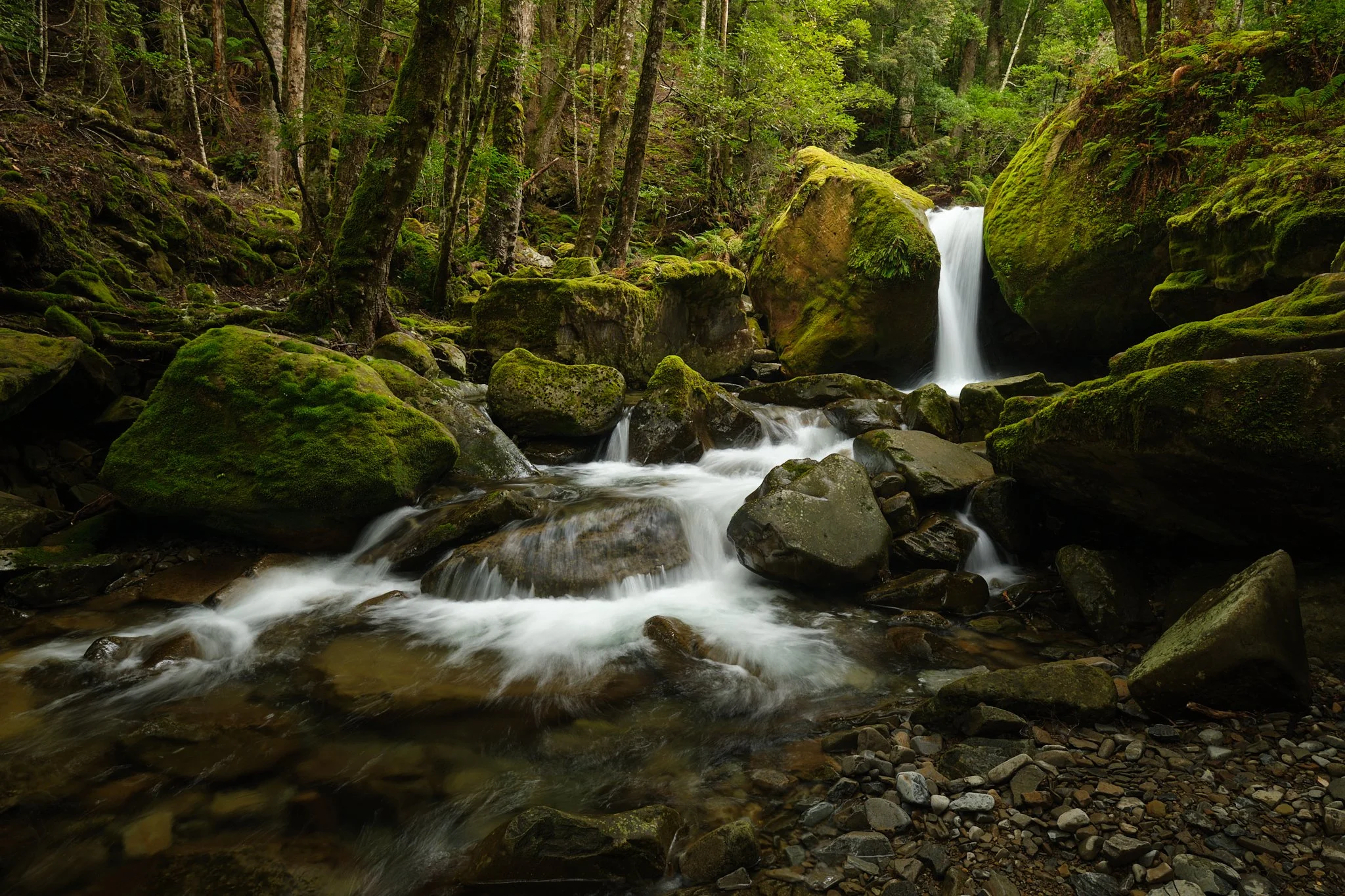Sated
Great Western Tiers, Tasmania (2025)
