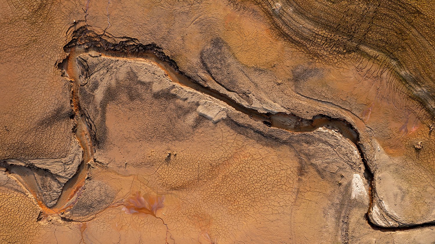 The River Bed #2