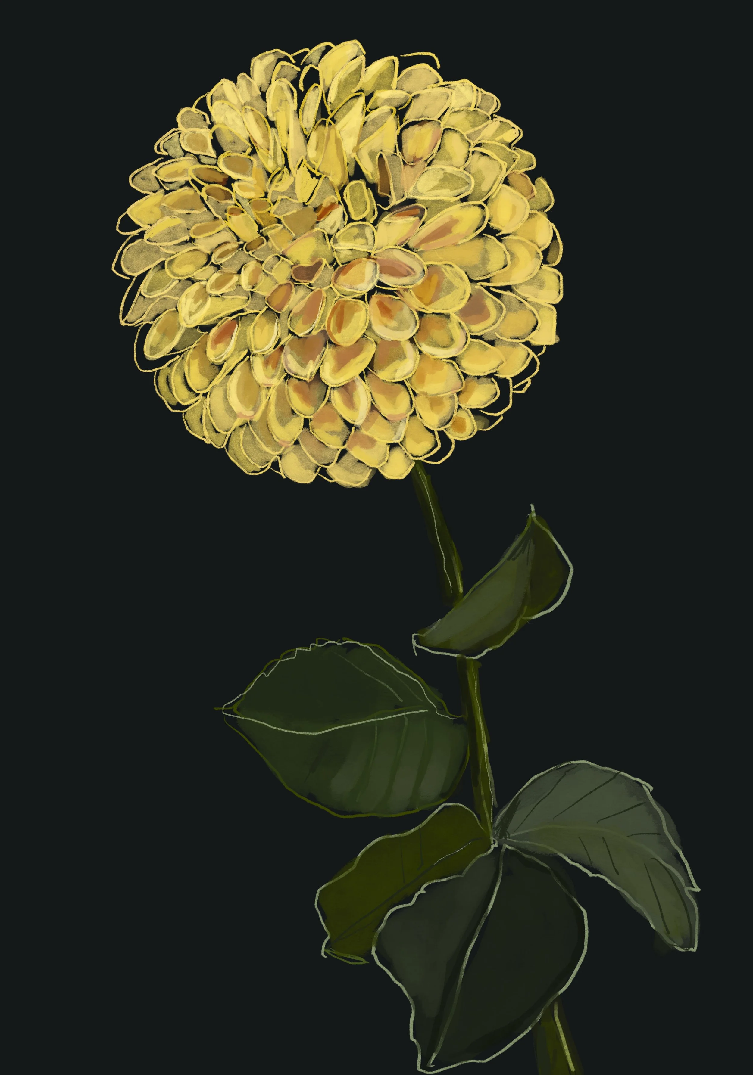 Lemon Dahlia copy.jpg