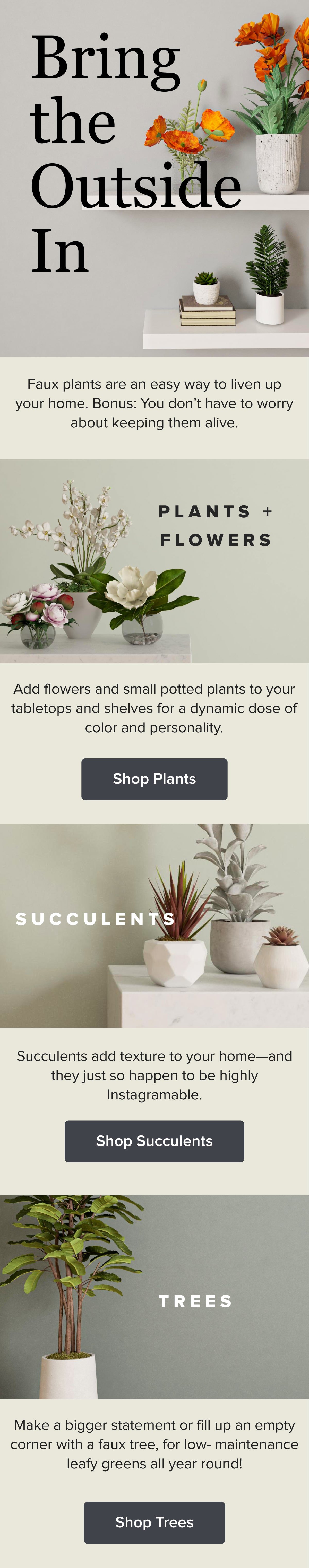 FT_Plants-min.jpg