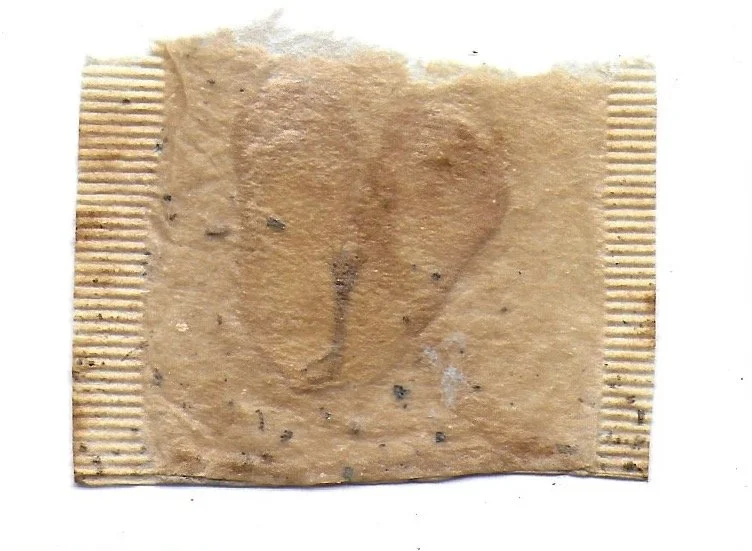 Pathway 06, Tea Bags, Dried Flowers, 2024