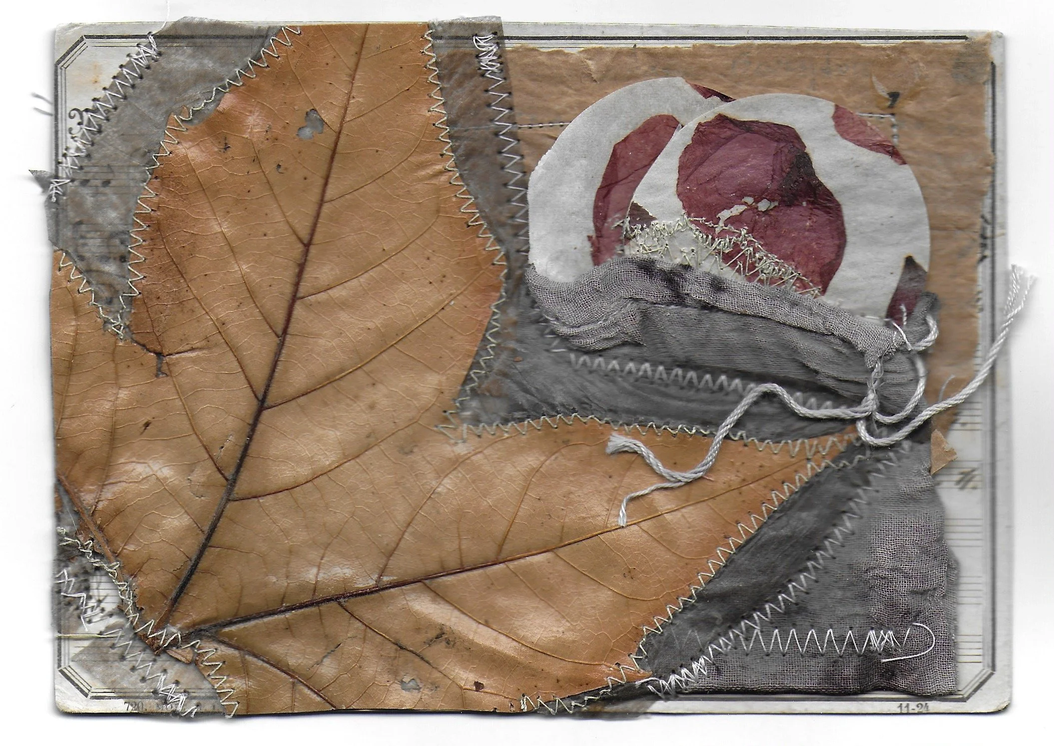Fallen (front), Music Card, Grocery Bag, Tea Bag, Dried Flowers, Stitching, 5 x 7 in, 2024