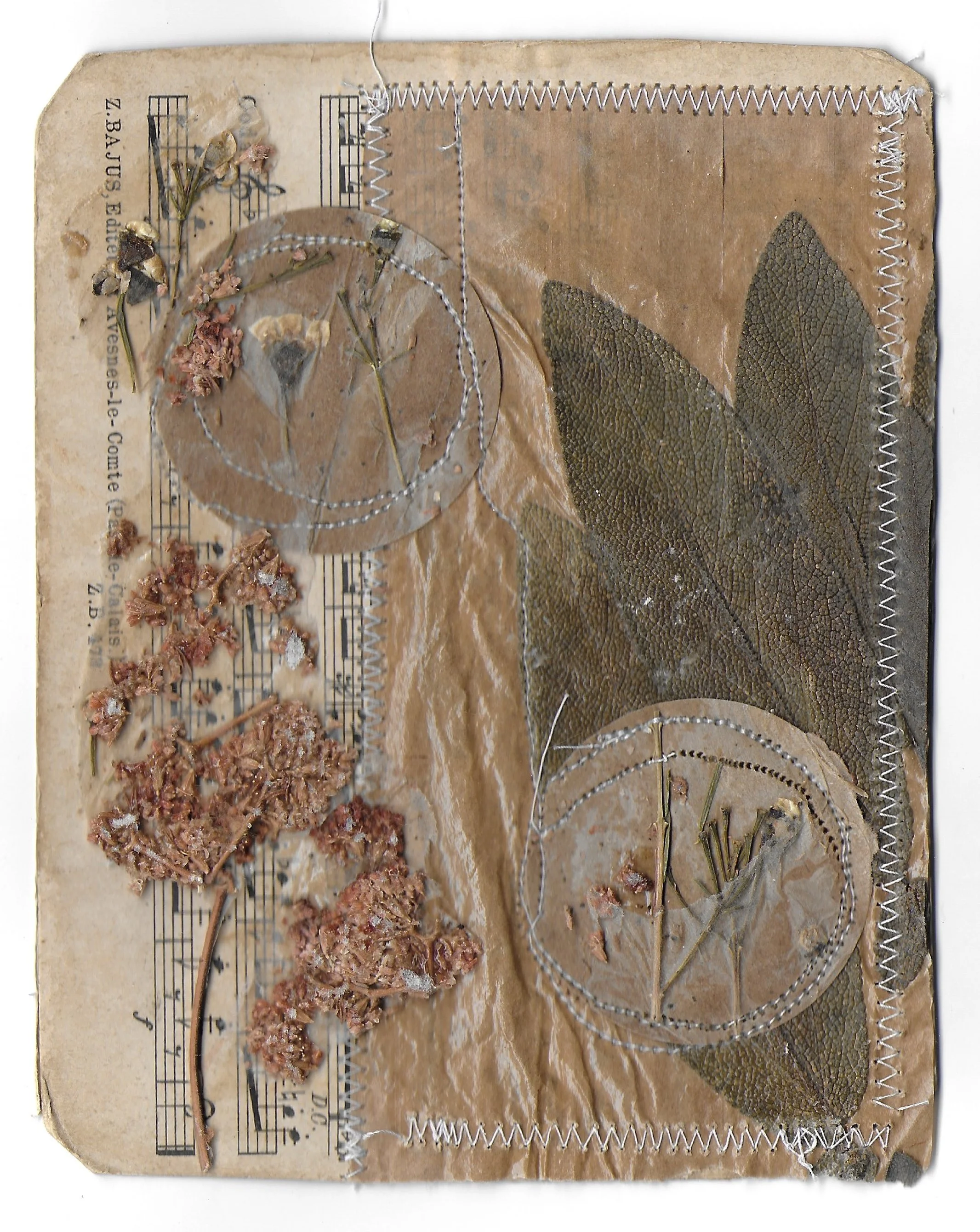 Sage (front), Music Card, Grocery Bag, Dried Flowers, Stitching, 5 x 7 in, 2024