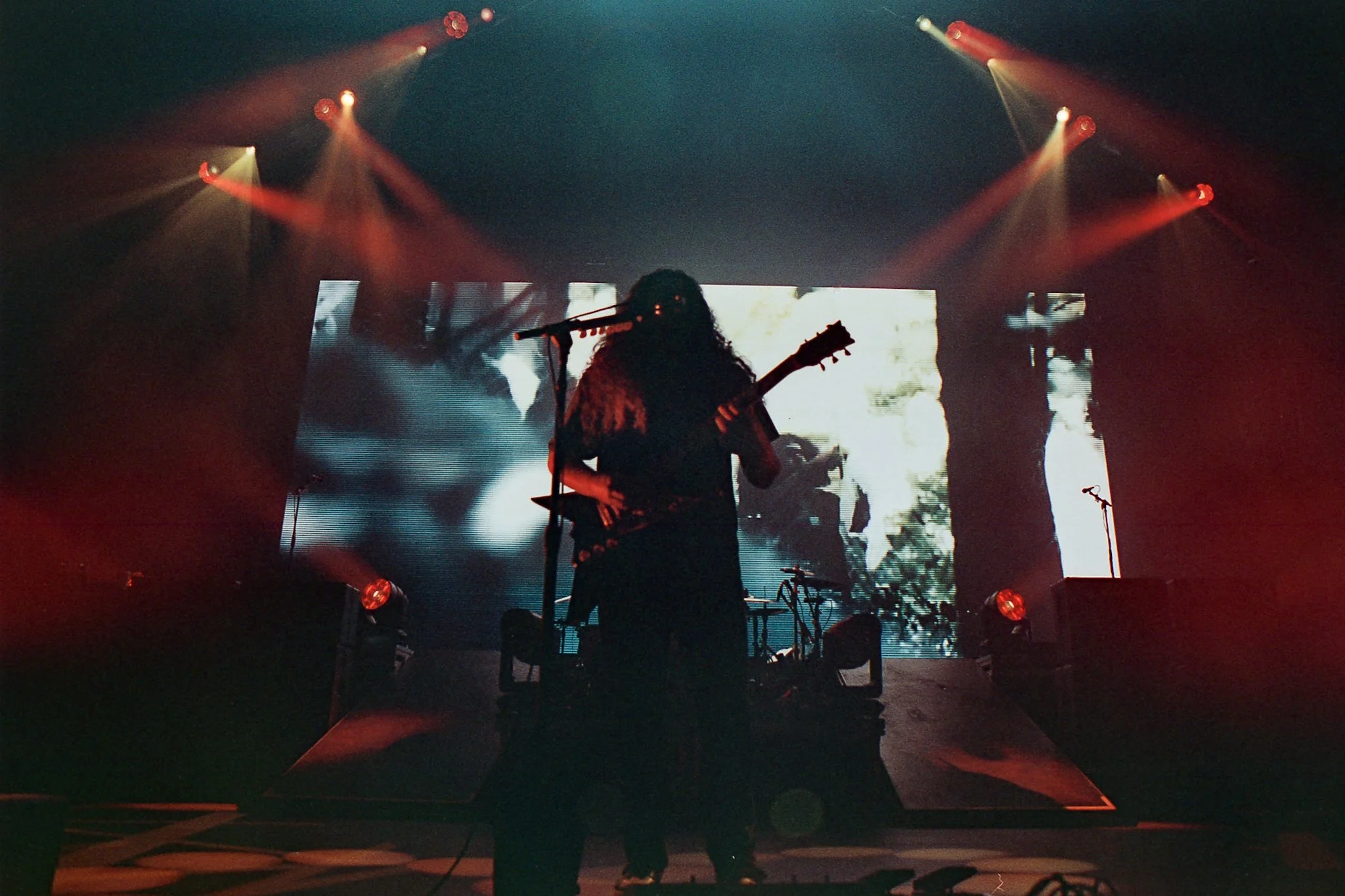 8-20-25-portra8018.jpeg