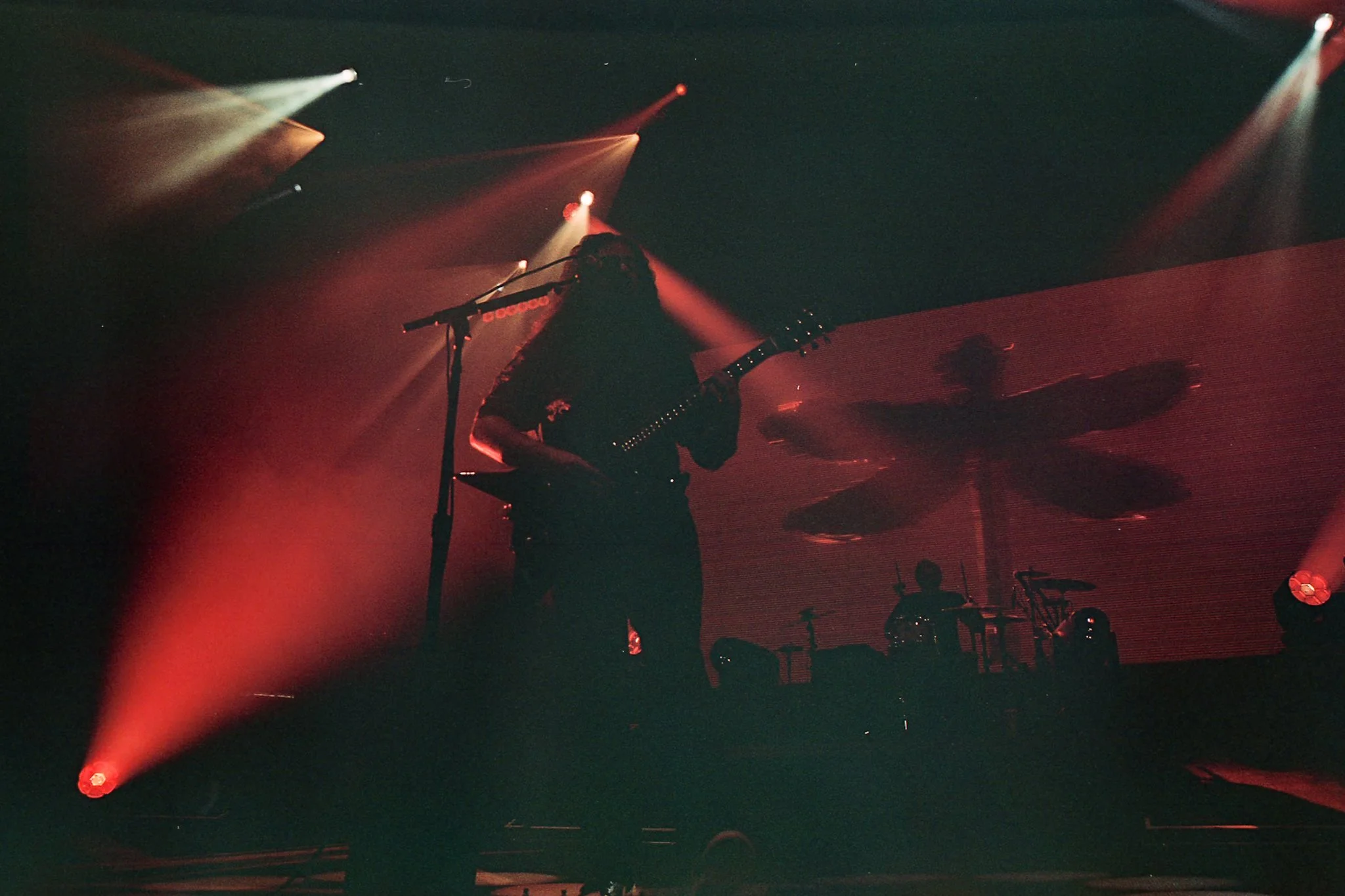 8-20-25-portra8005.jpeg