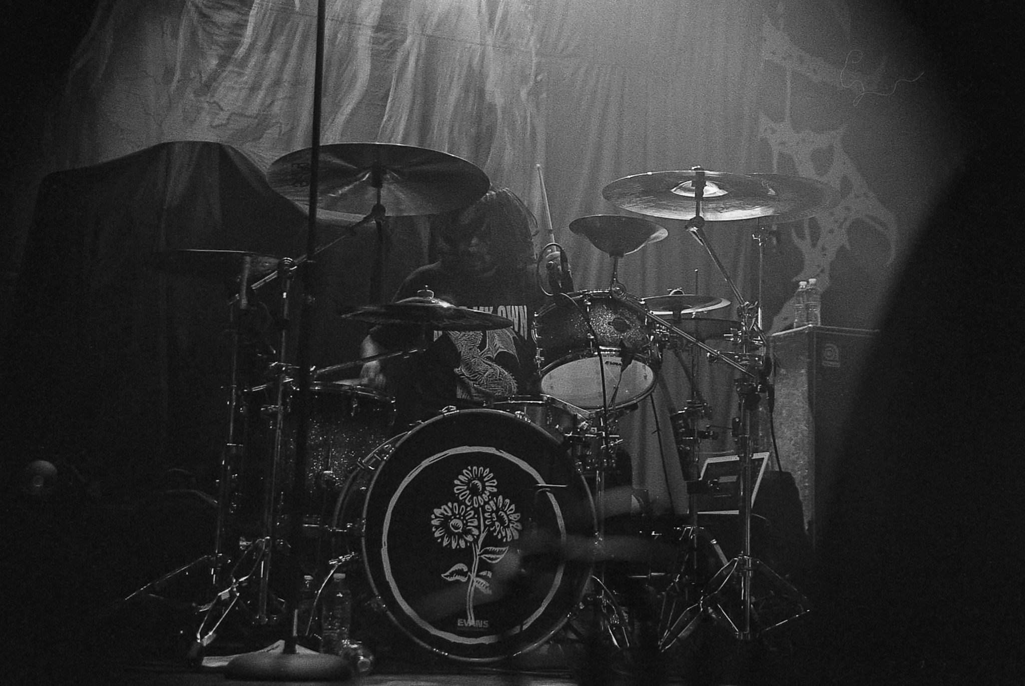 04-28-hp5014.jpeg