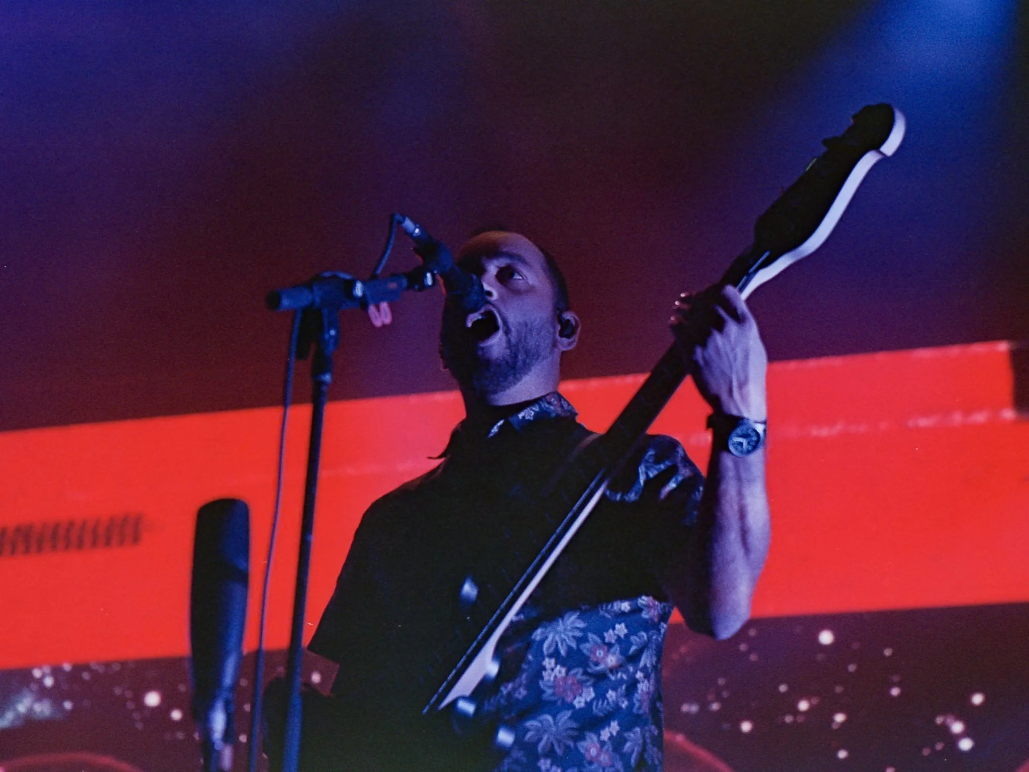 8-20-25-portra8029.jpeg