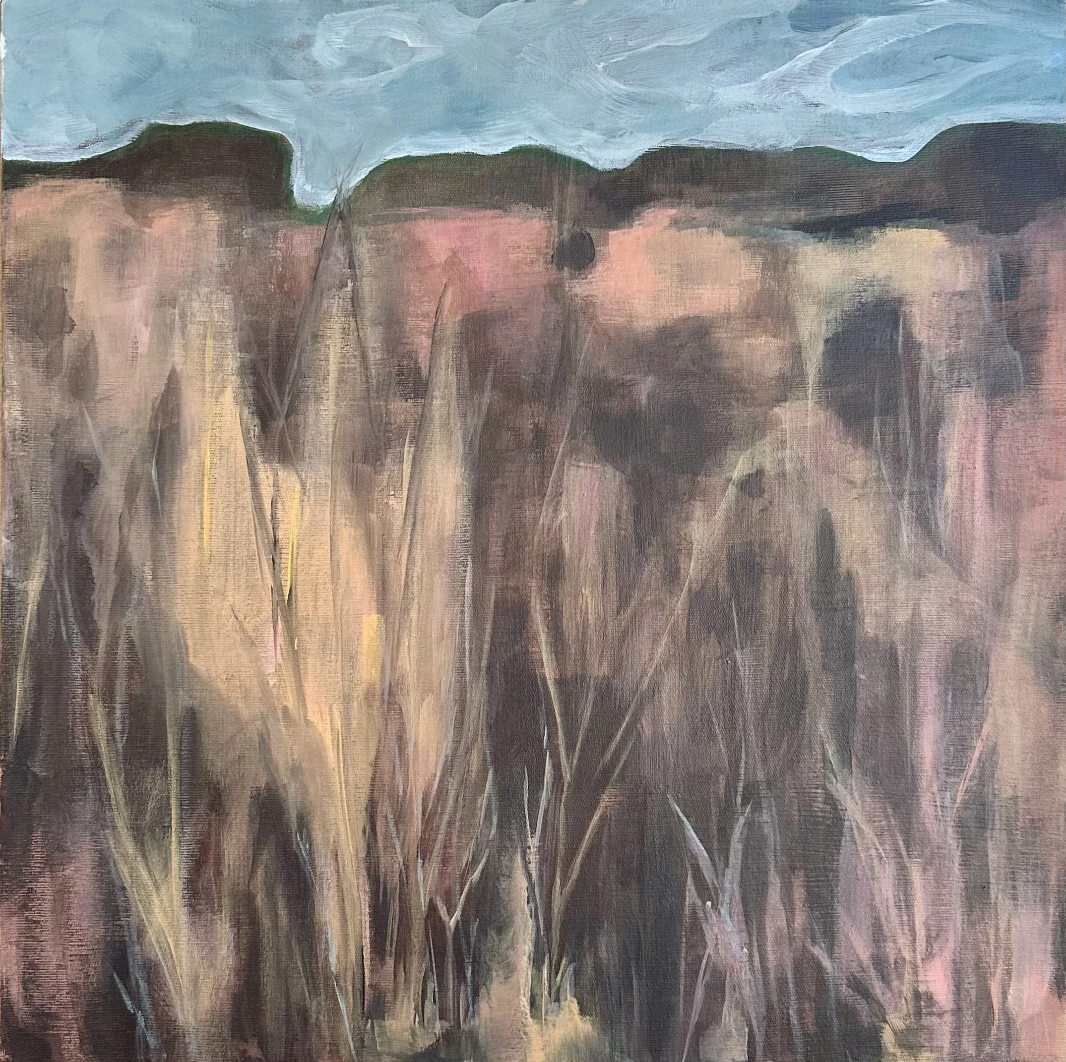  Platô
 Acrílica sobre madeira
 40 x 40cm 
 2024