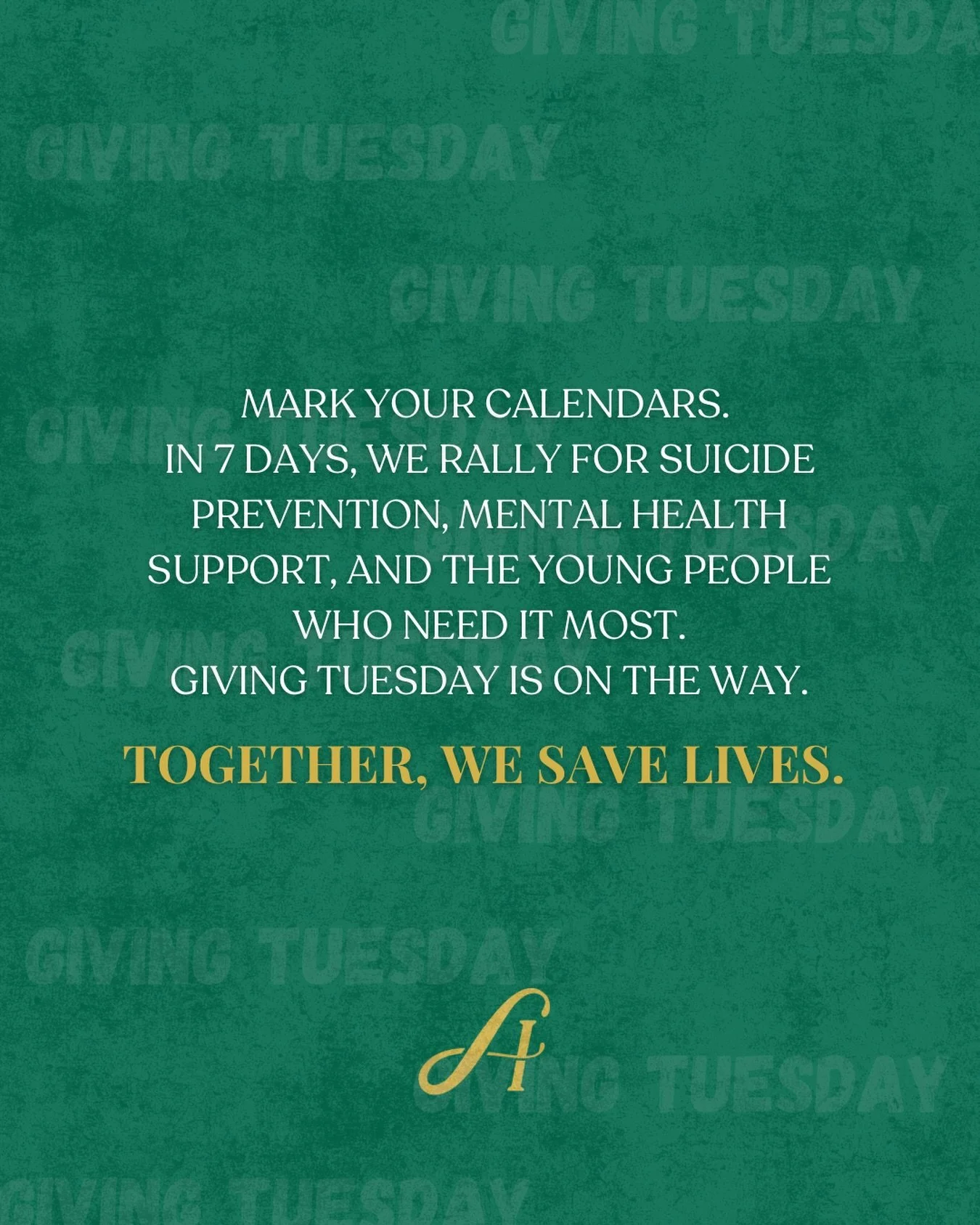 Every dollar makes a difference. 💚