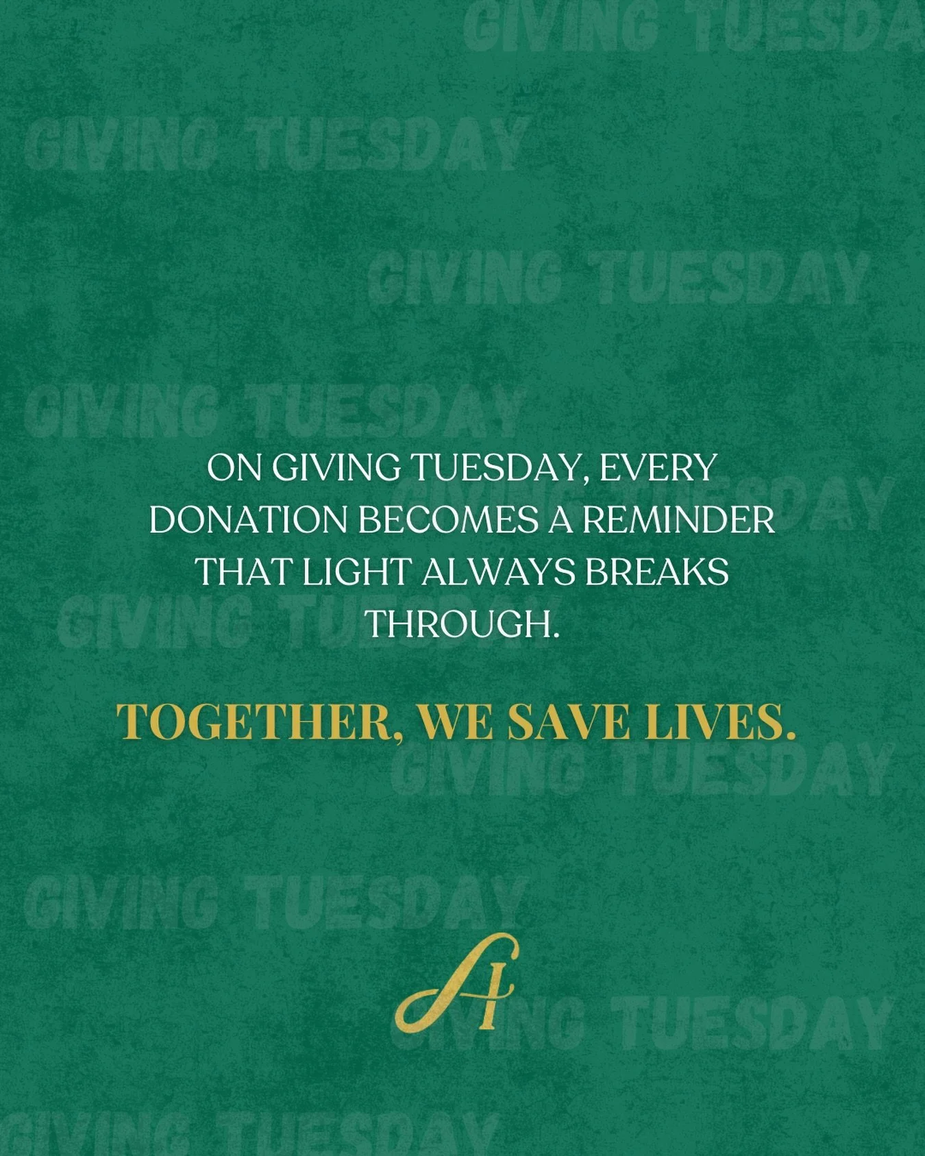 You can donate at the link in our story or in our bio! #givingtuesday