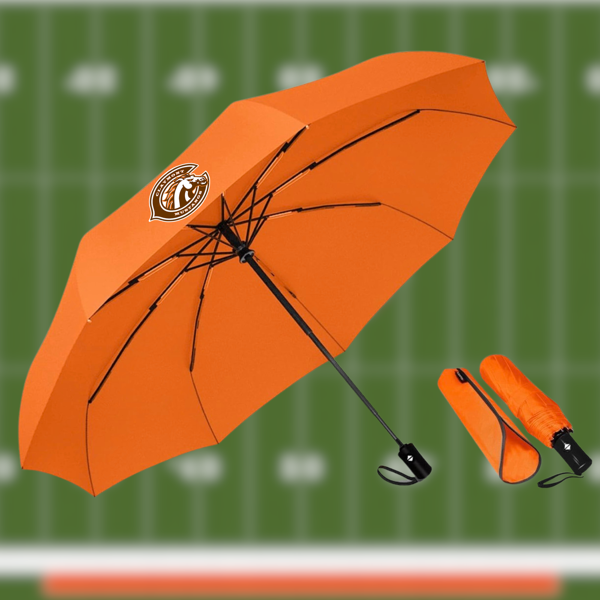Claymont Umbrella.png