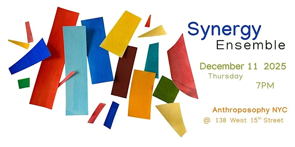 Synergy Ensemble Concert