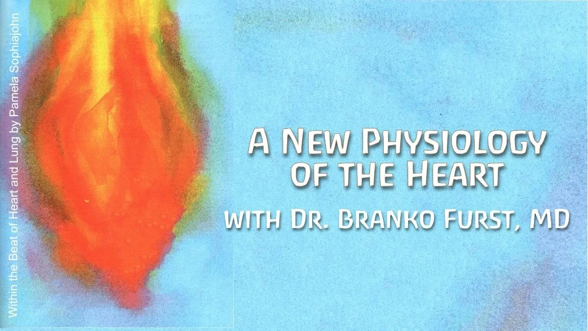 A New Physiology of the Heart by Dr. Branko Furst, MD