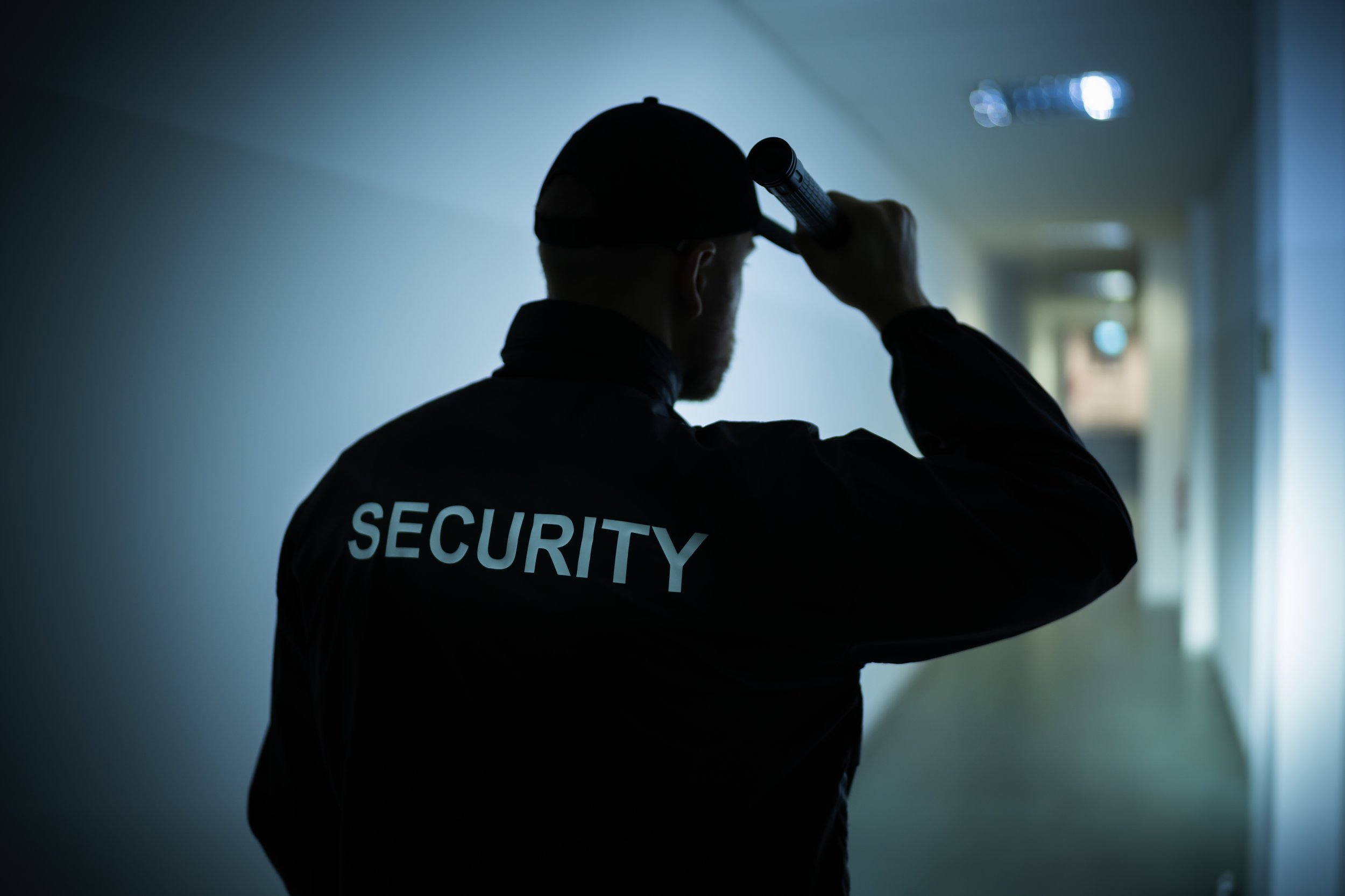 iStock-1199291239.jpg