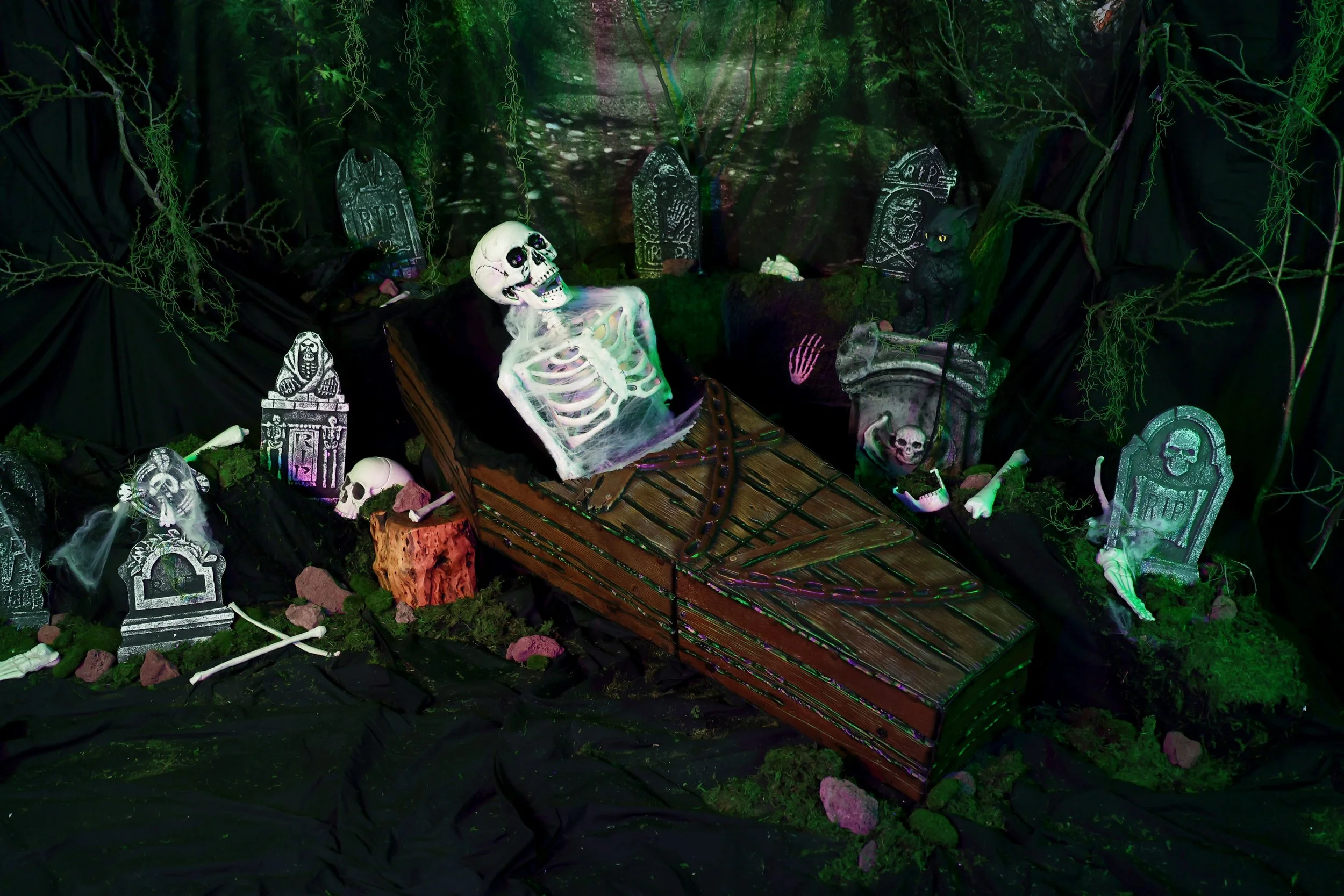 coffinskel1.jpg