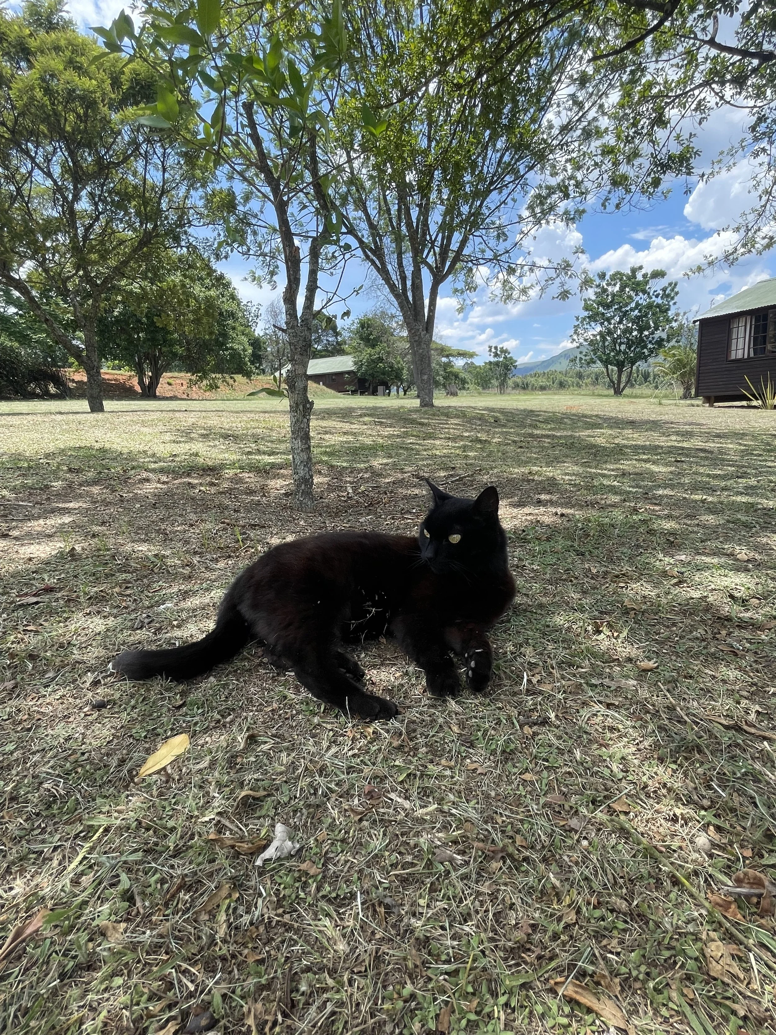 IMG_2093.jpeg