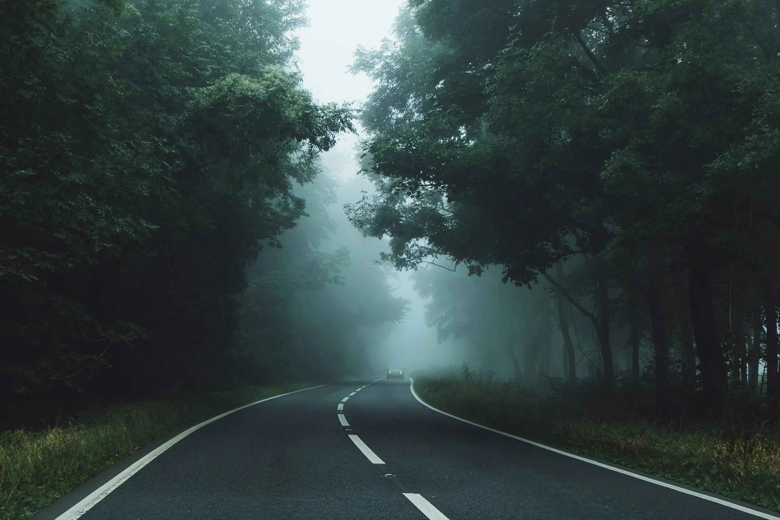 A winding road through a dense, foggy forest with tall trees on either side.