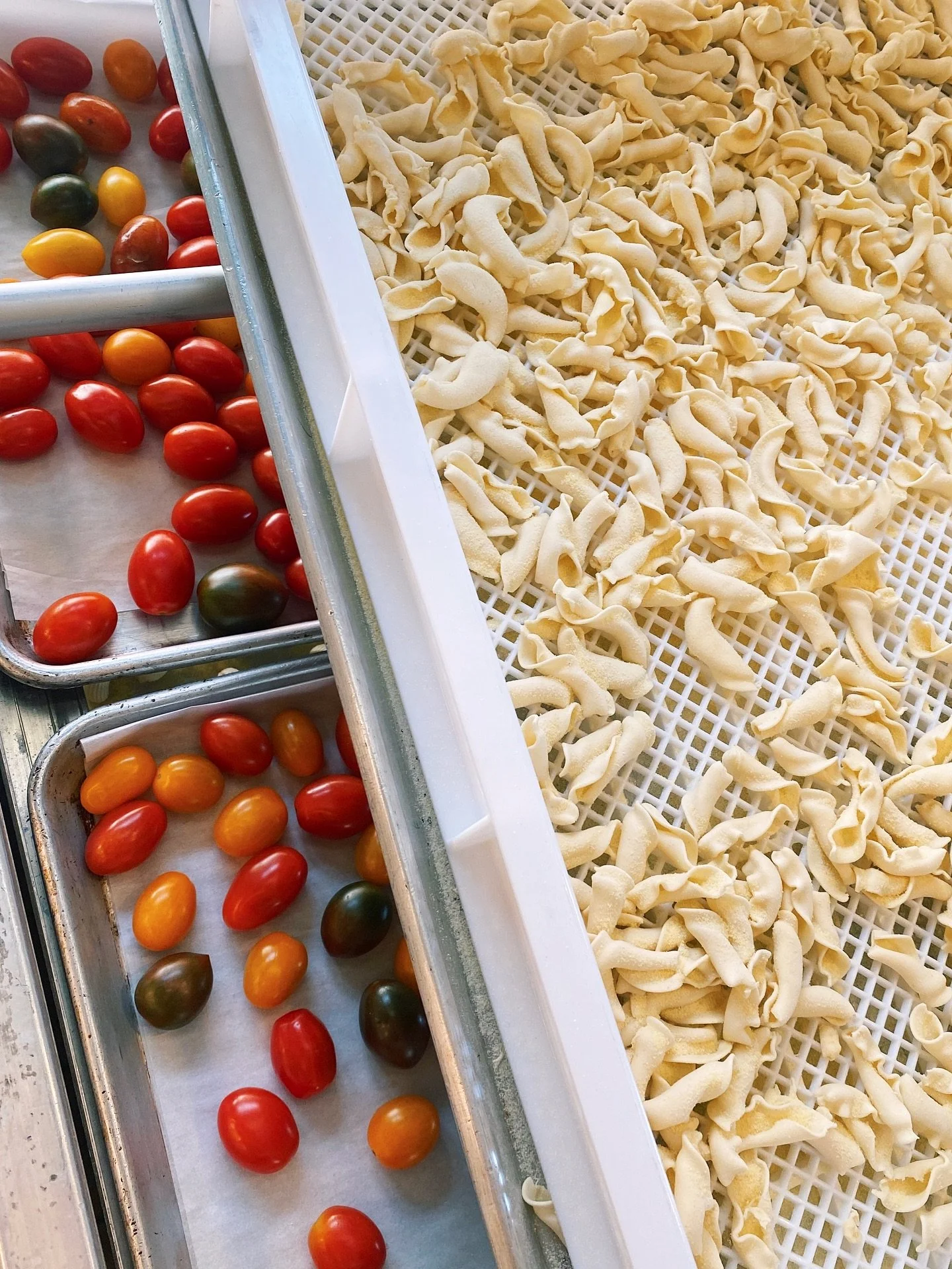 New handmade pasta shapes from @yigo8576 & another round of fresh Summer tomatoes ๐ค