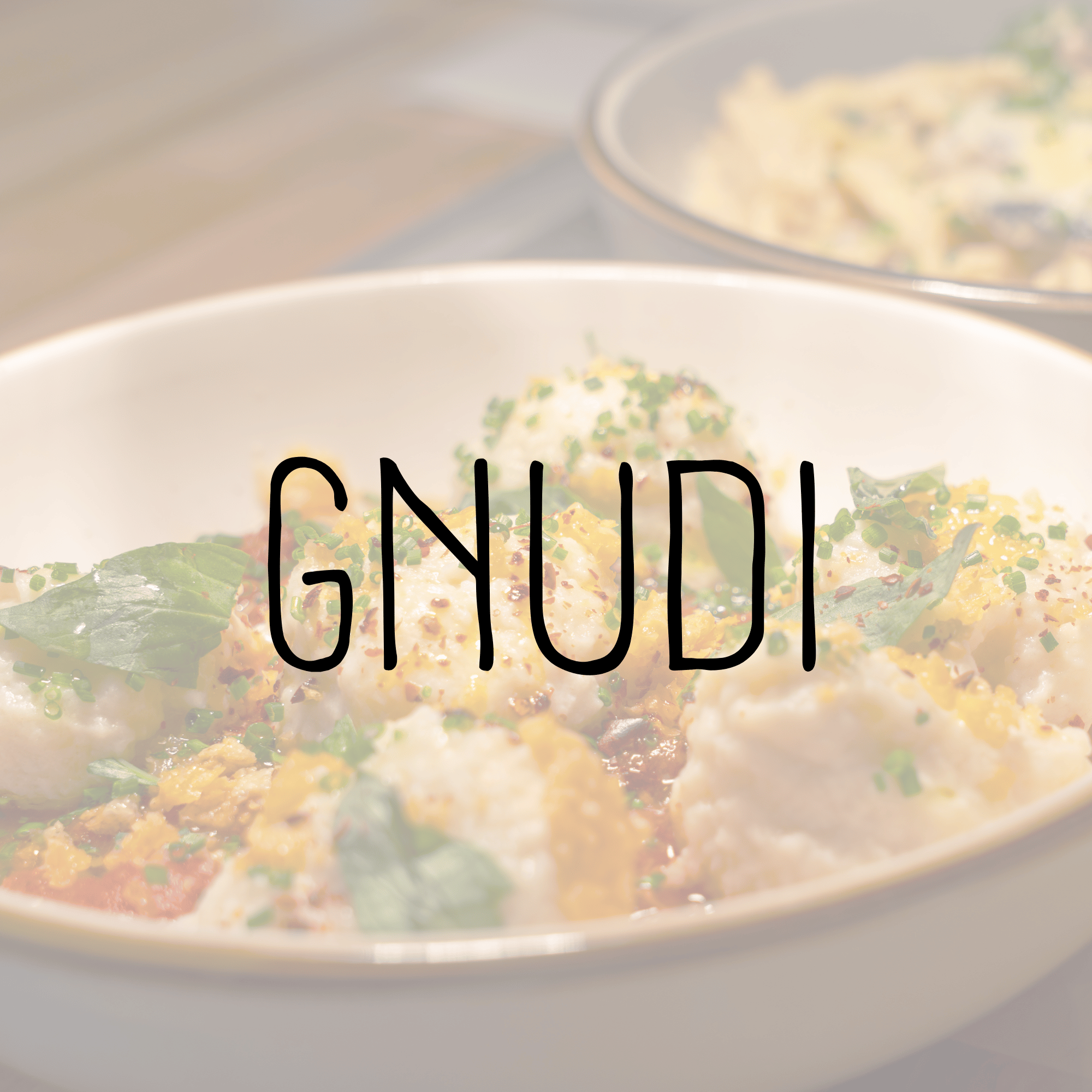 GNUDI HEATING INSTRUCTIONS