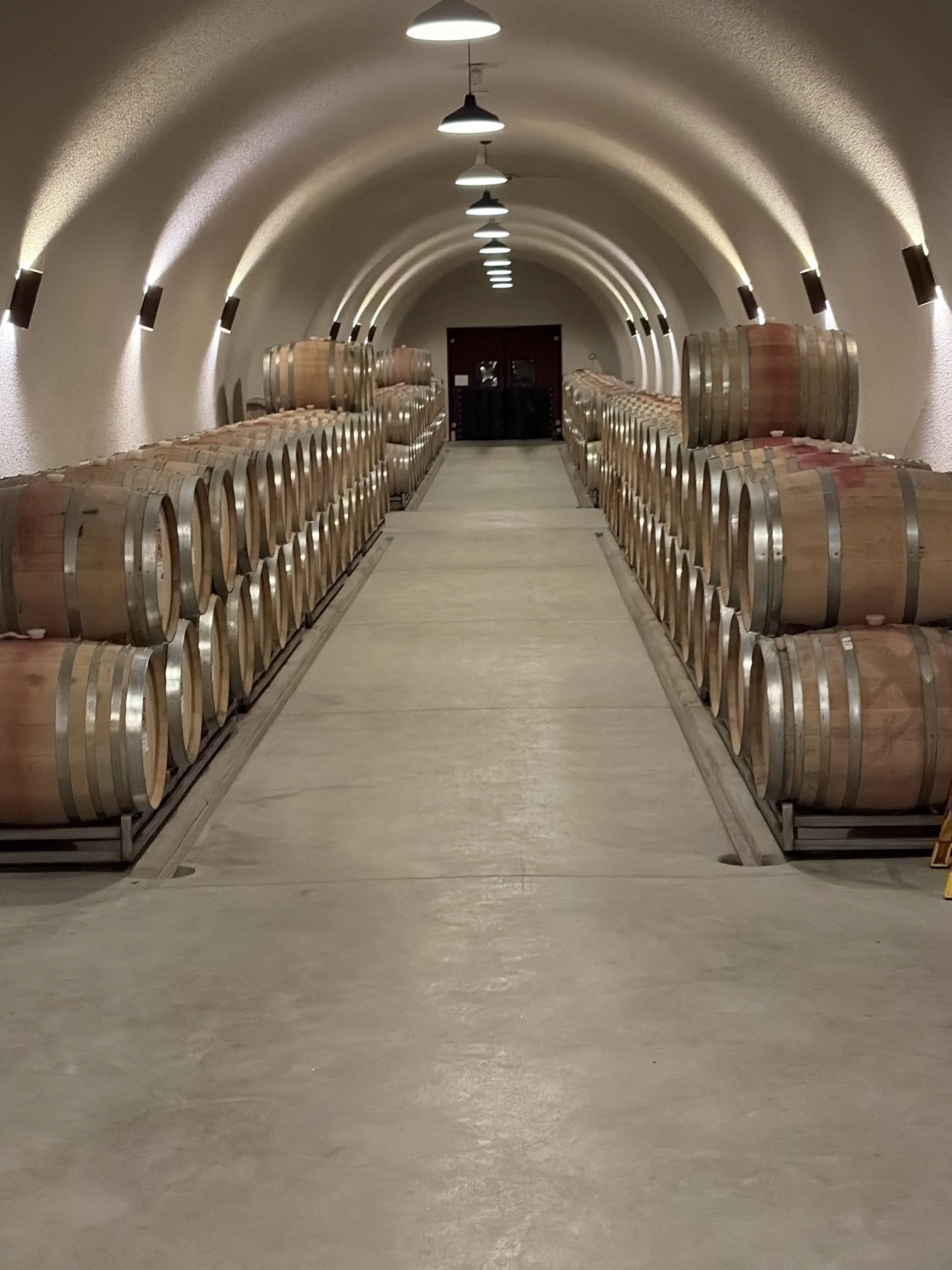 Wine barrel cellar representing winery operations, production management, and winemaking consulting