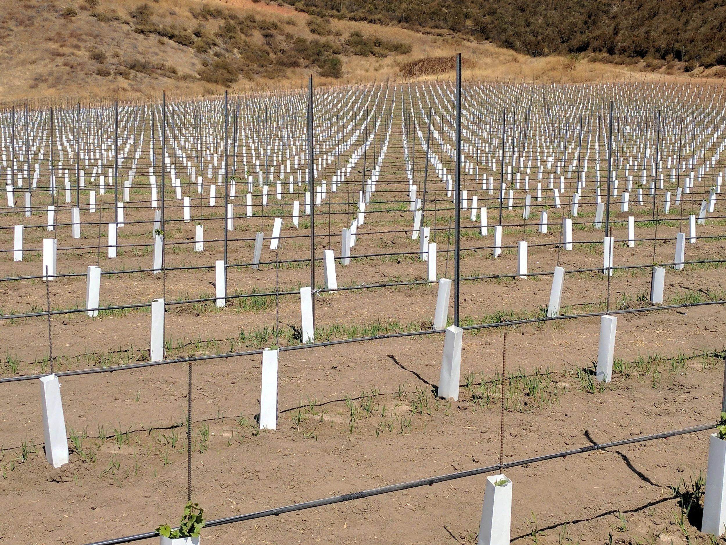 Winery production facility and equipment representing strategic planning, capital investment, and winery development.