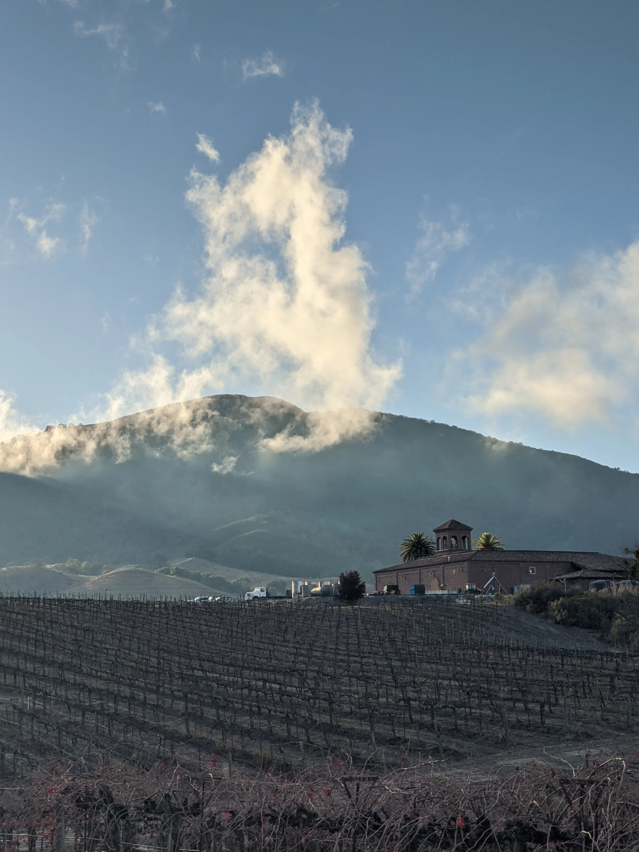 Winery facility and surrounding vineyards in California’s Cienega Valley.