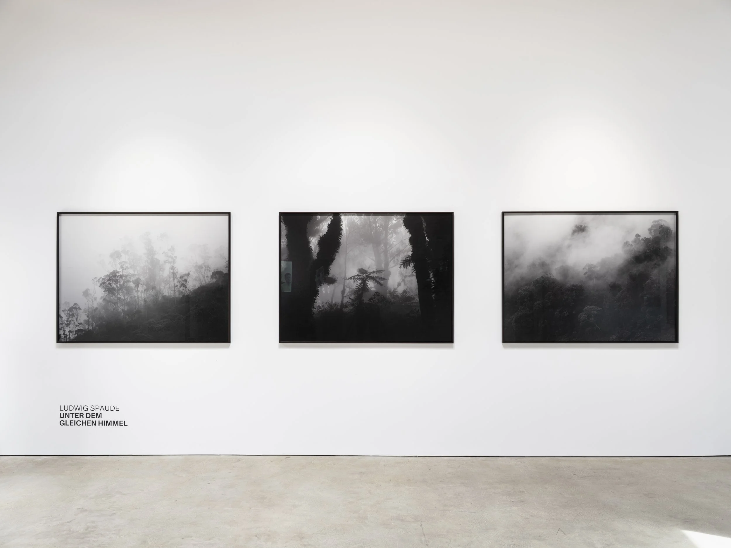 Three black and white landscape photographs of foggy forest scenes, framed and displayed on a white gallery wall. Text in the bottom left corner reads "Ludwig Spaude, Under Dem Glichen Himmel."