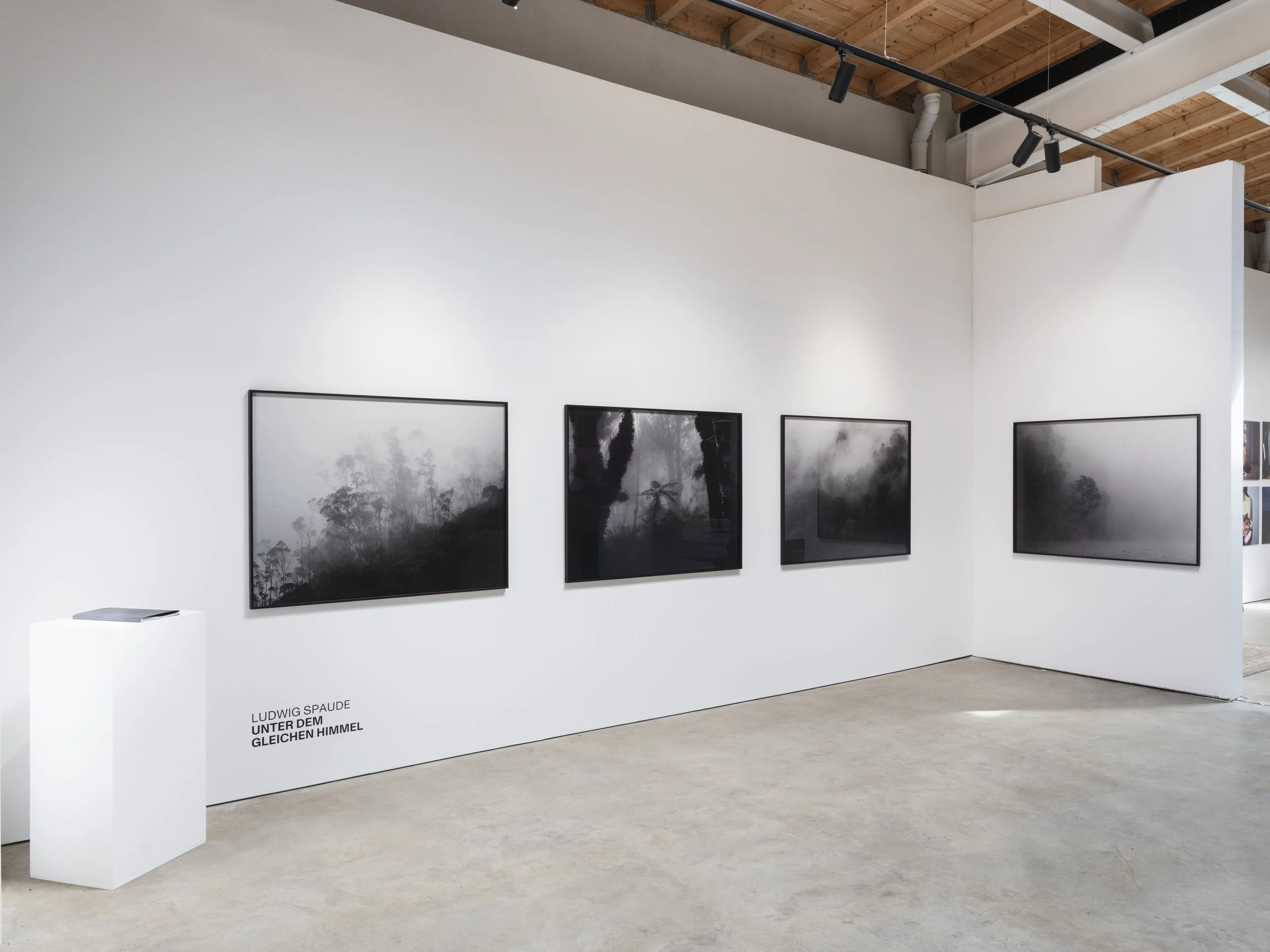 Black and white photographs of foggy, misty forests hung on a white gallery wall, with a small white pedestal on the floor displaying a document or booklet.