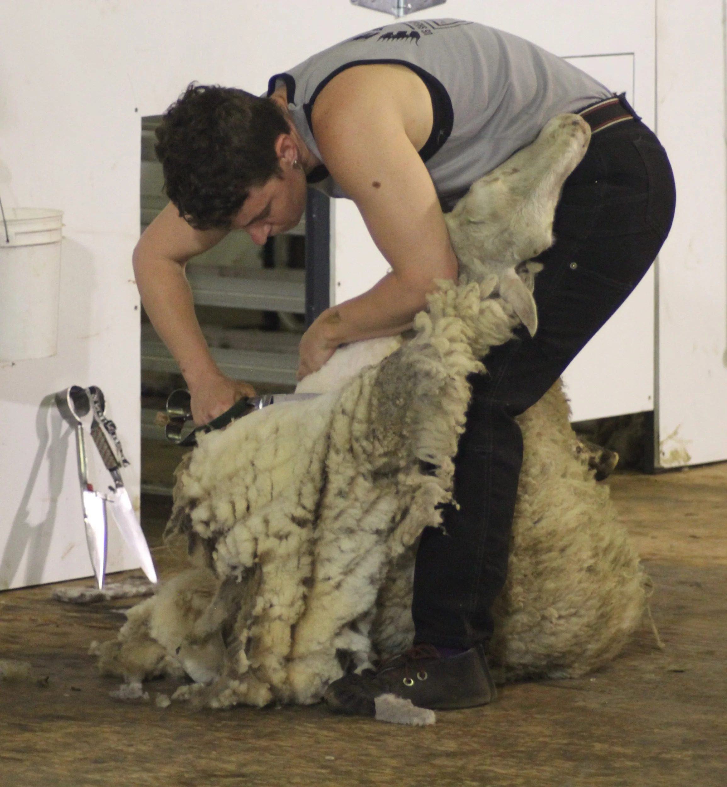 Blade Shearing