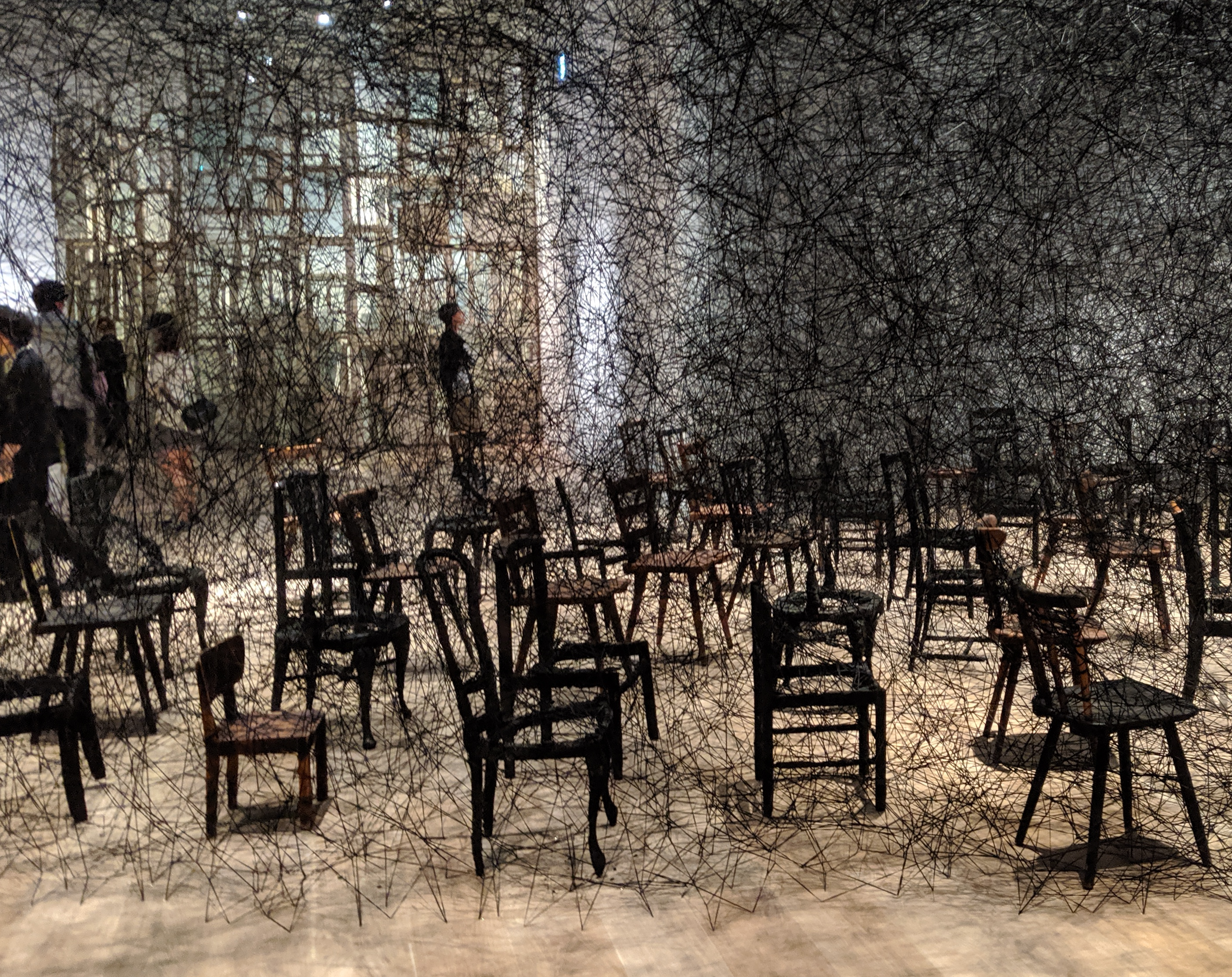 The Invisible Cage: Are You Occupationally Conditioned?