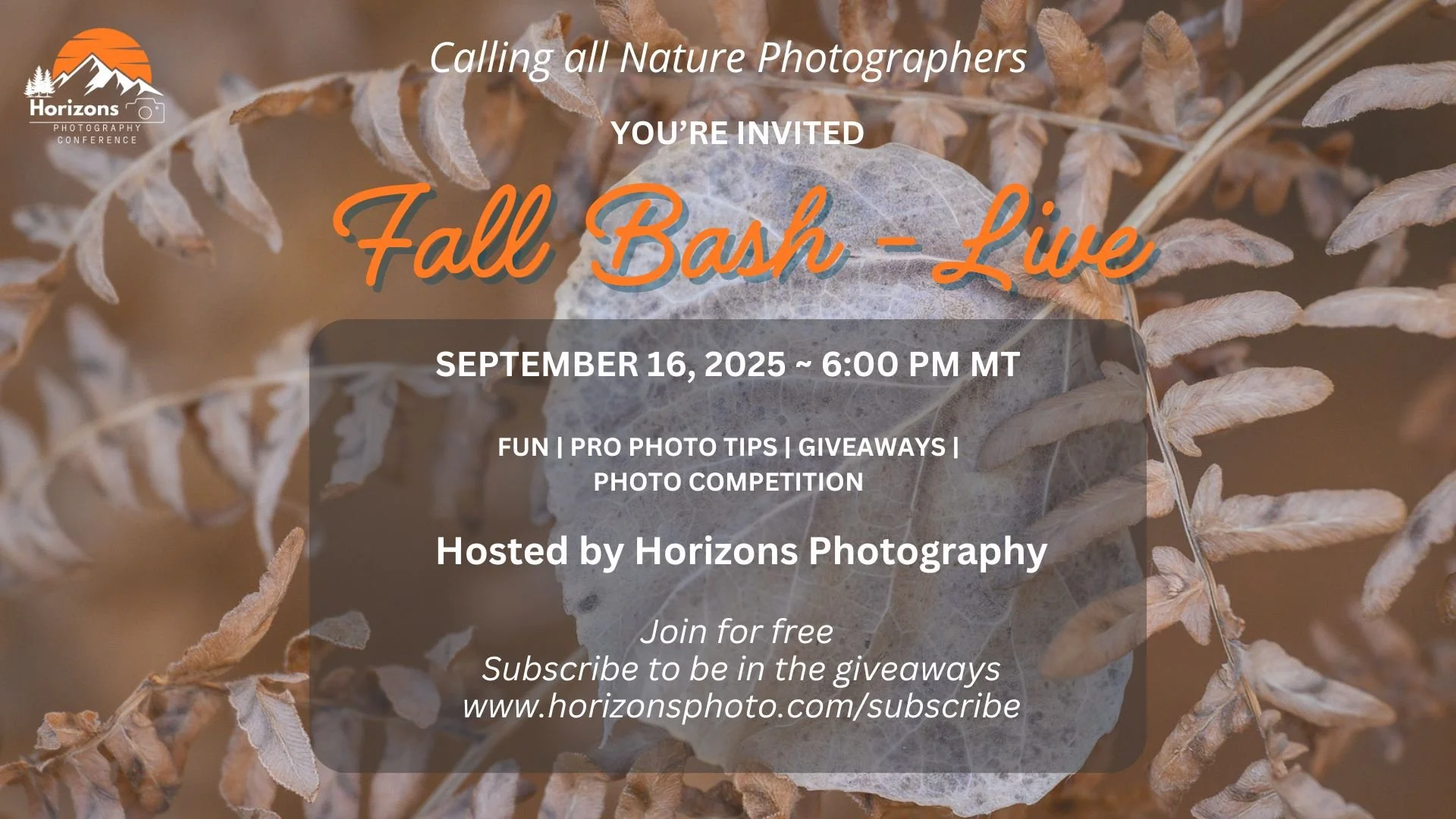 Fall Bash - LIVE