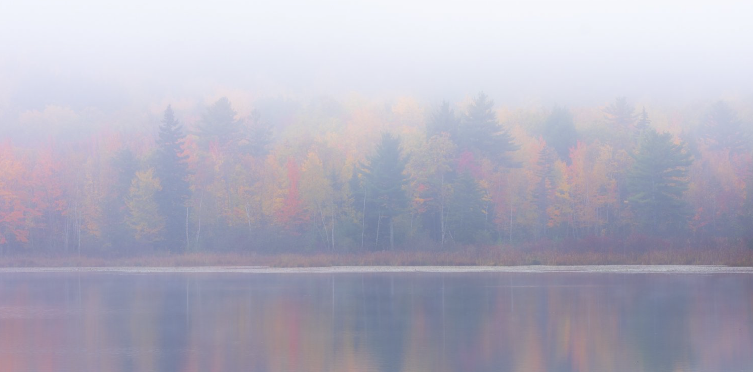 Misty autumn landscape with a calm lake and a forest of trees with colorful fall foliage in the background.