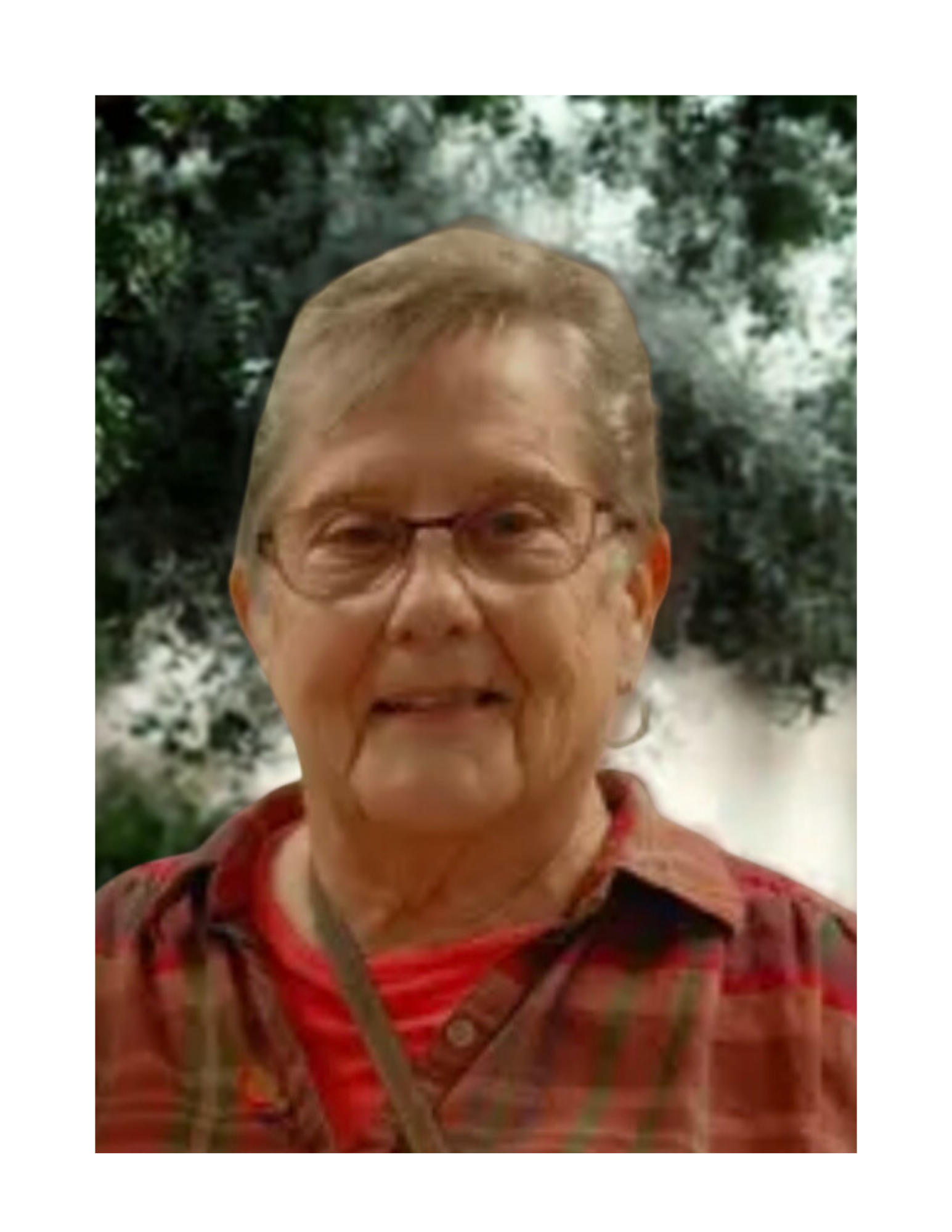 Marcia Williams | Vice President 