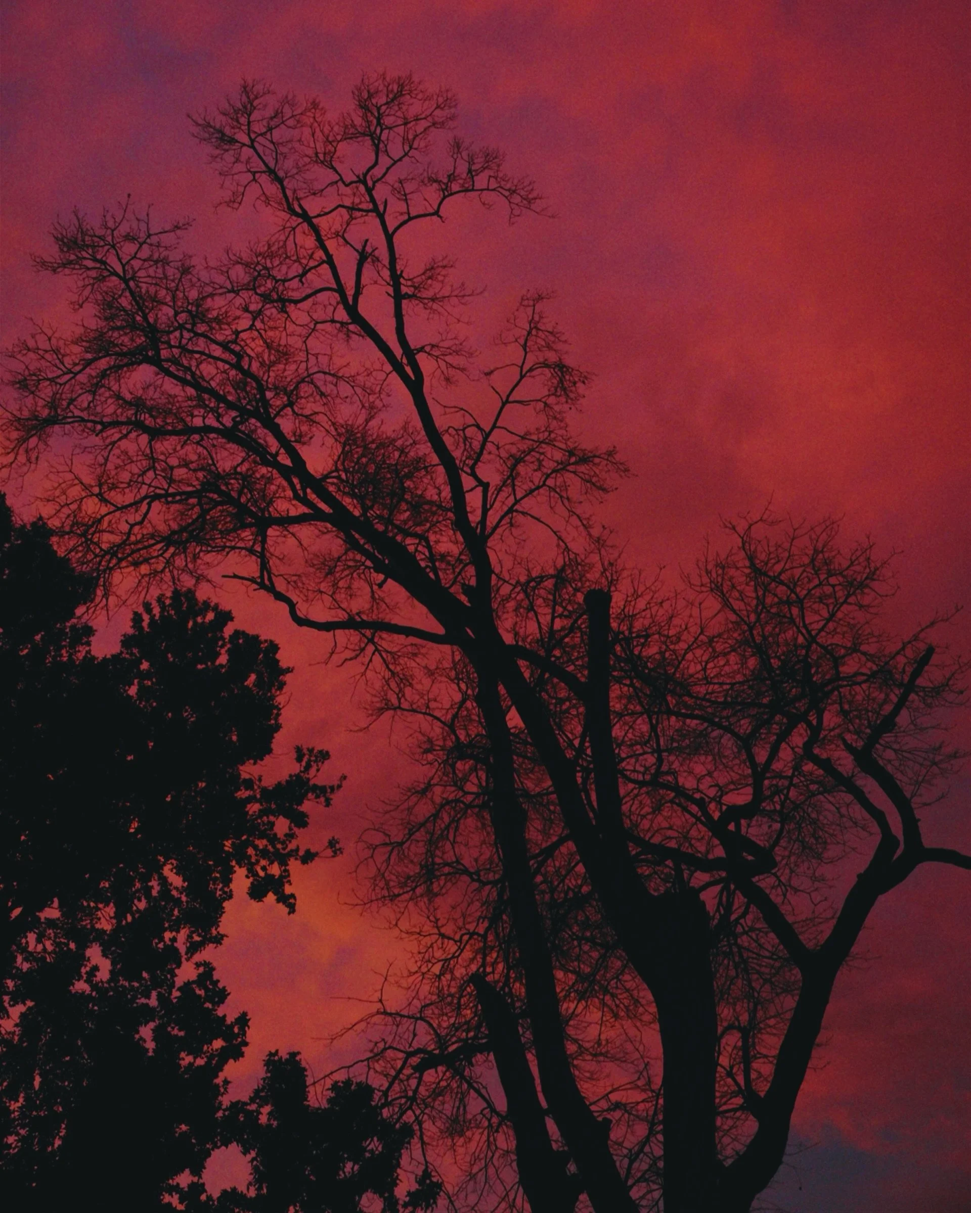 I love a foreboding Friday sunset that heralds stormy nights and the coming of spooky season. 😌