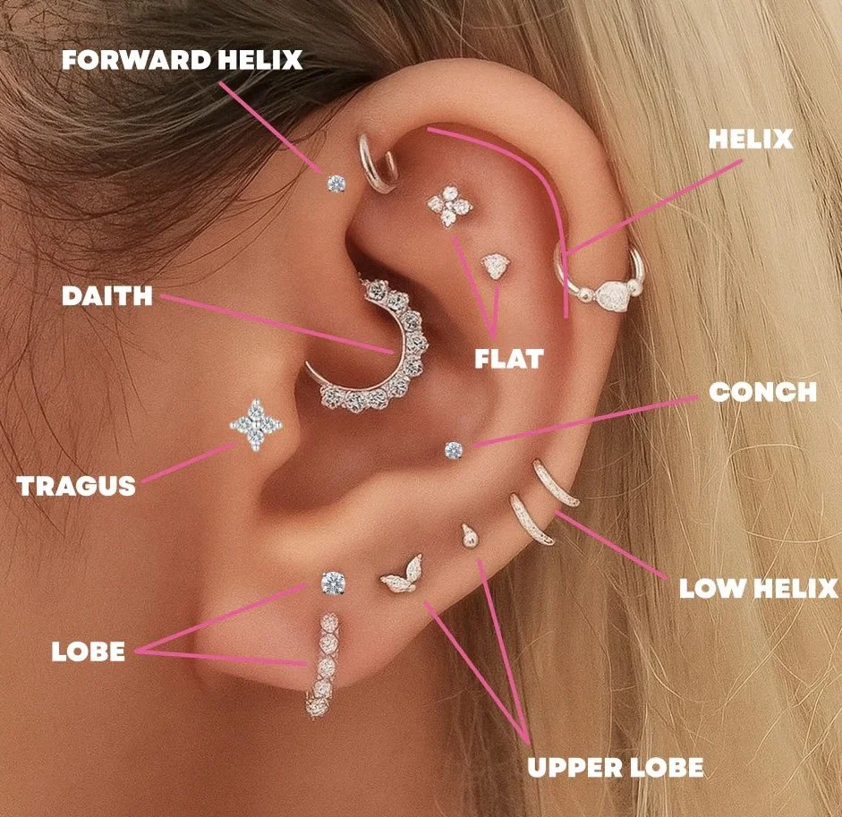 Ear piercing chart