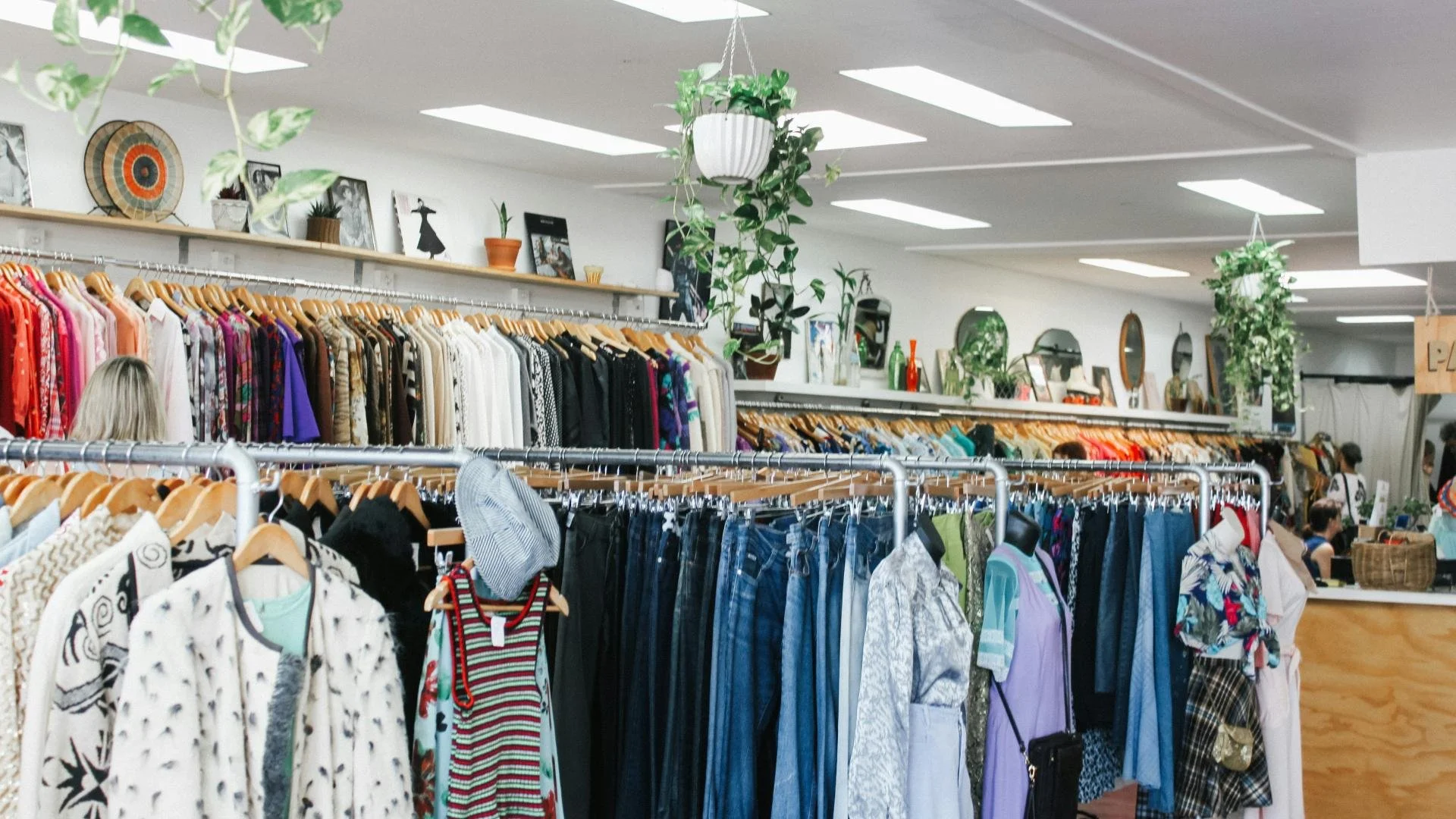 Charity Shops: Trends and Demographics