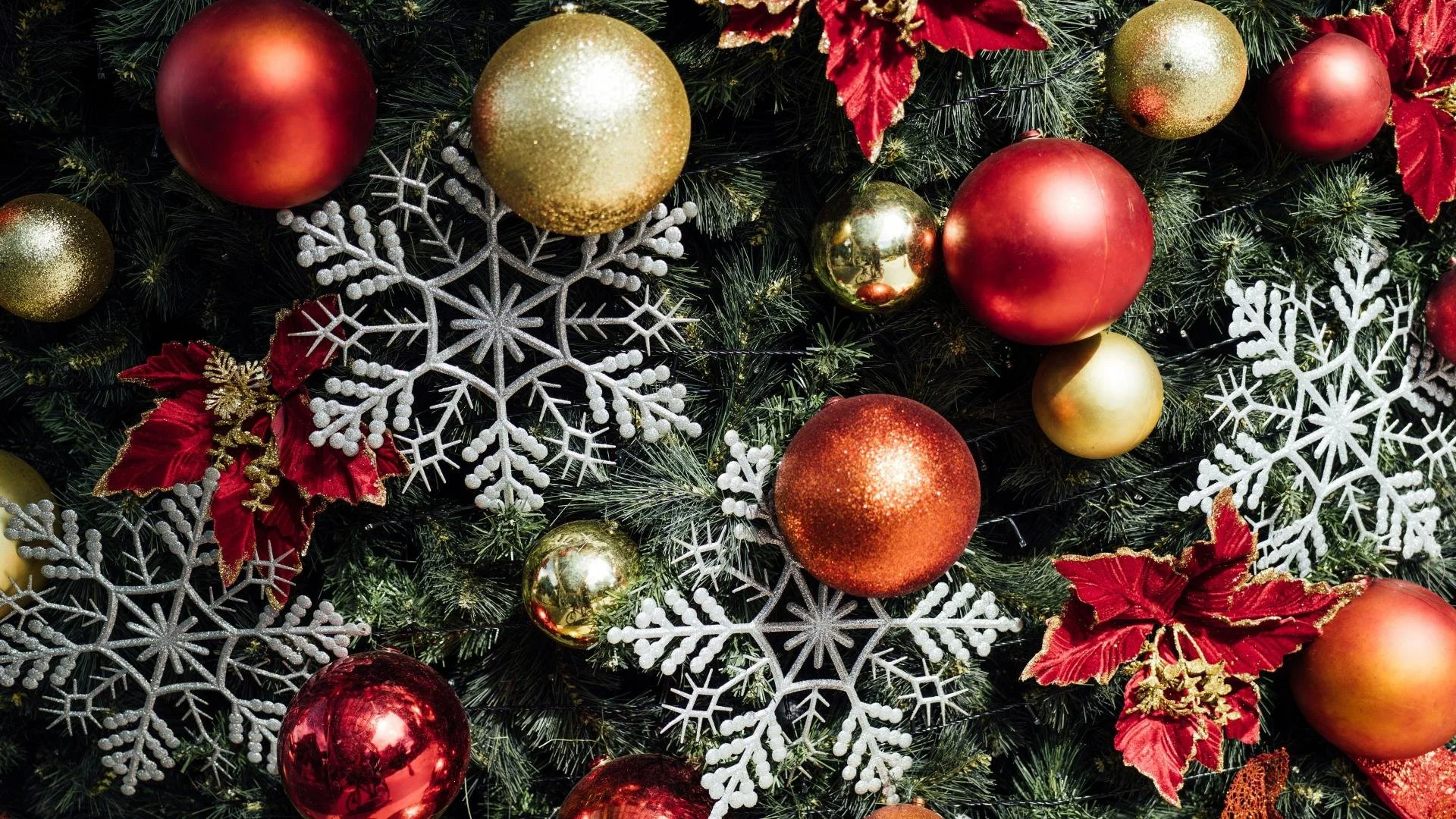 Happy Holidays from nfpResearch: Cheers to 2024!