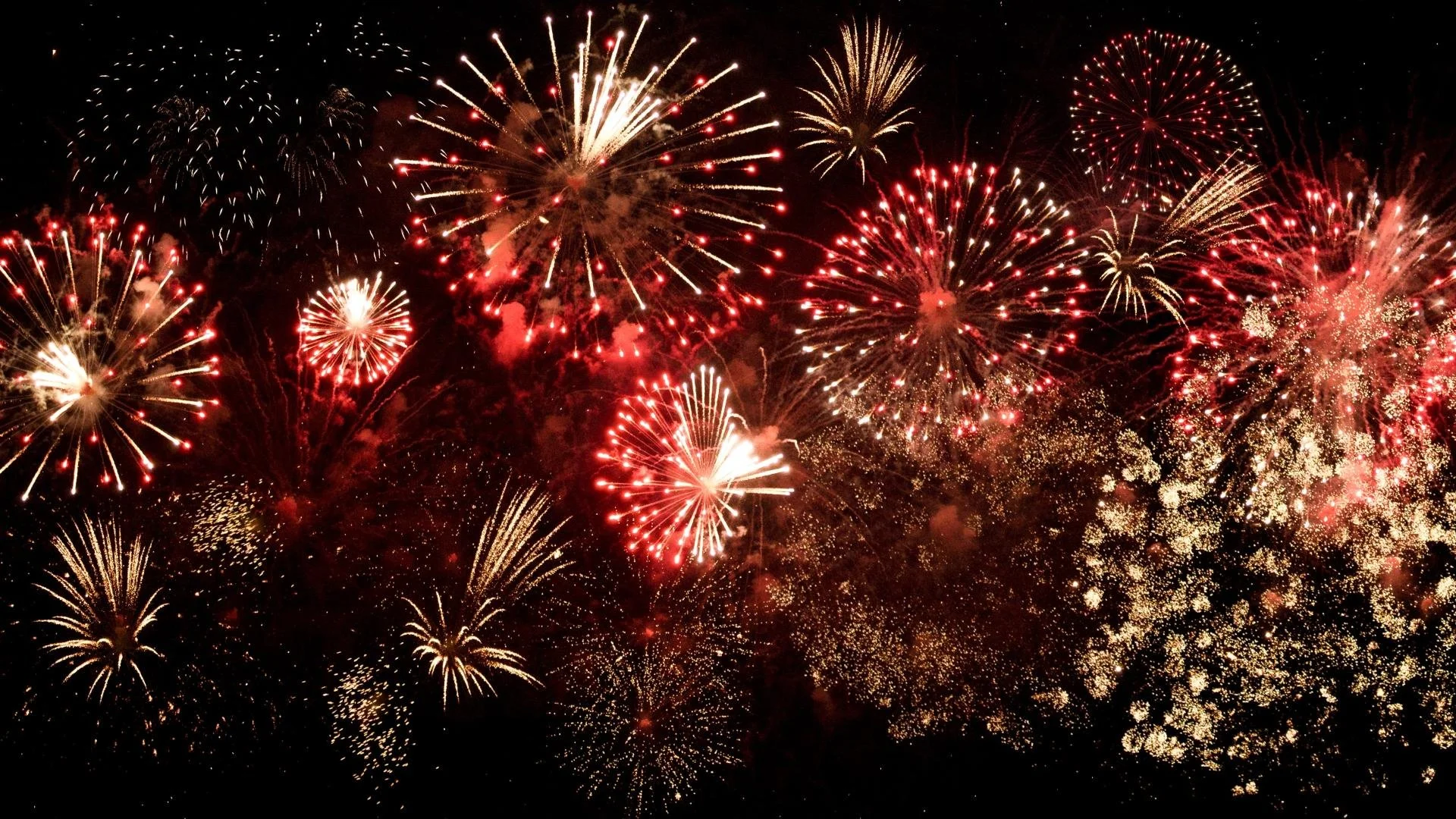 Happy Holidays from nfpResearch!